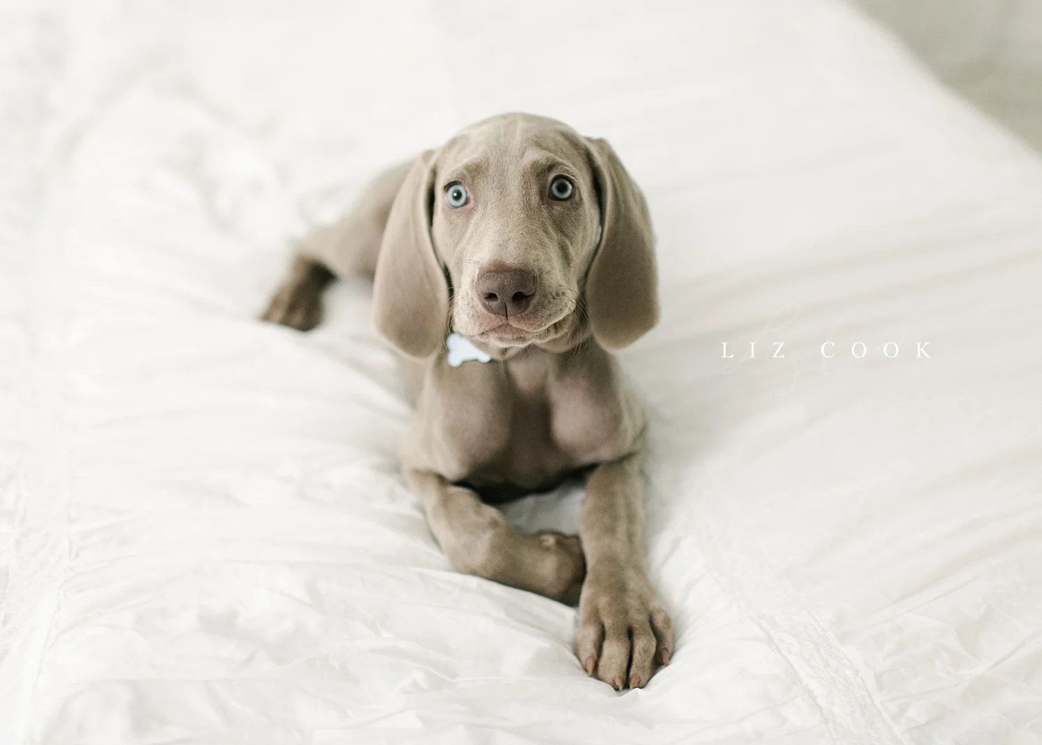 Meet Charis - the New Studio Assistant!