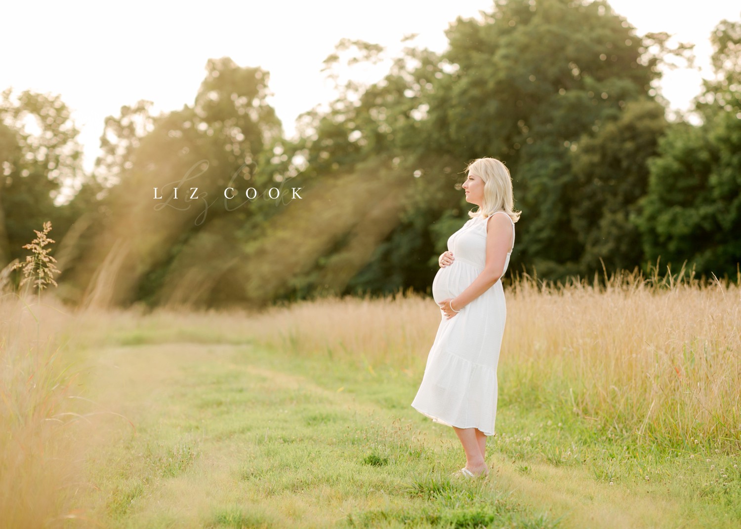 Lynchburg-Virginia-Maternity-Pictures-in-a-Field-Forest-Virginia-Photos-004.JPG