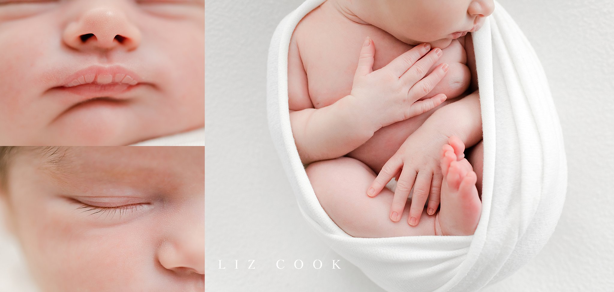  © 2022 Liz Cook Photography | www.liz-cook.com 