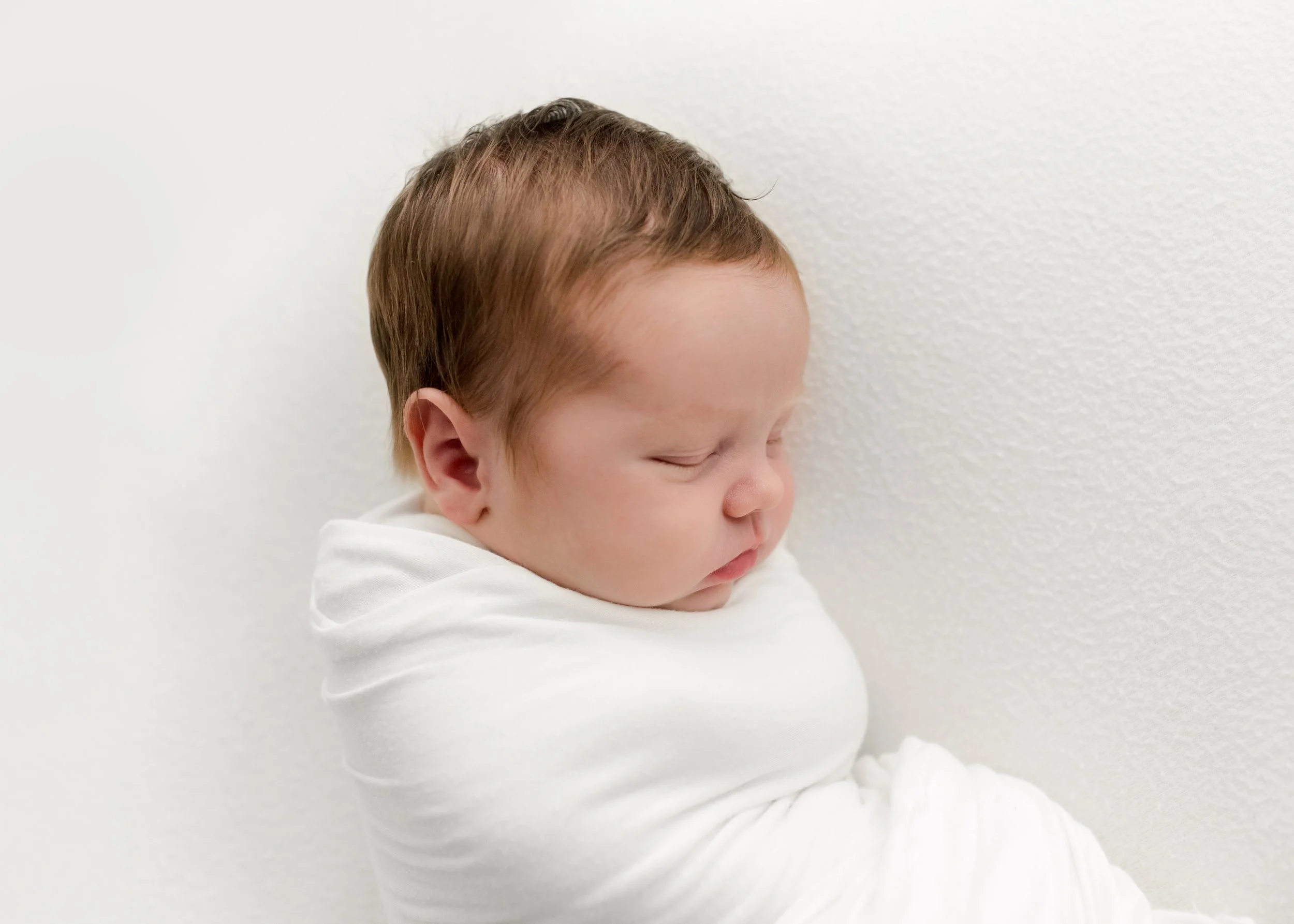  © 2021 Liz Cook Photography 