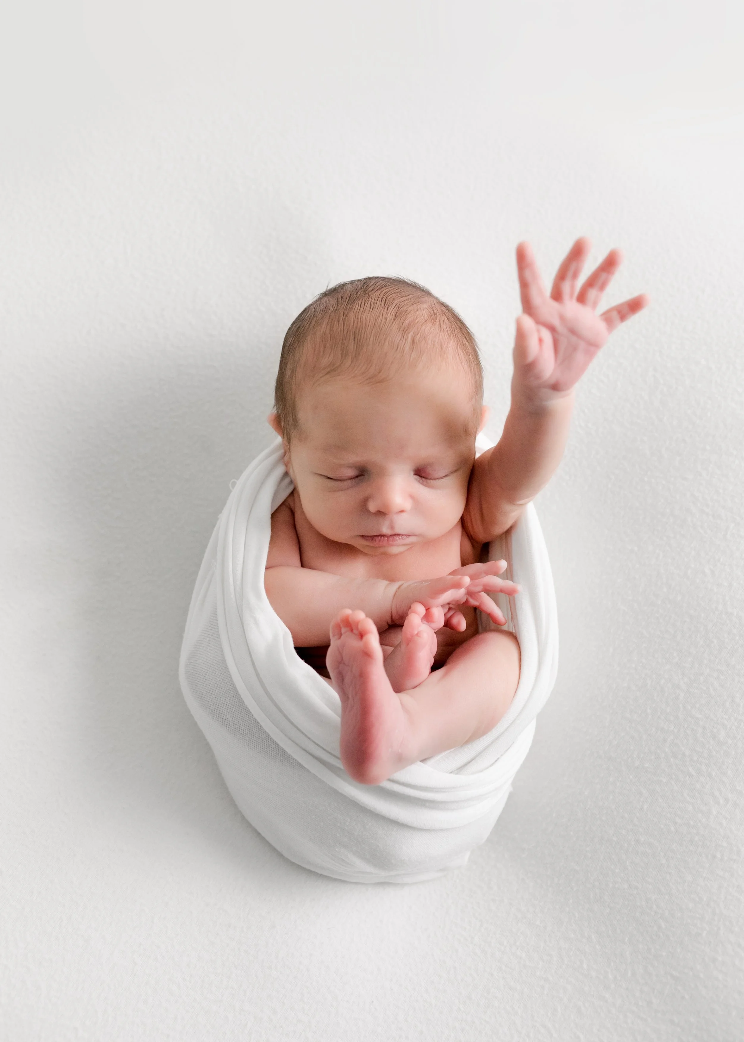  © 2021 Liz Cook Photography 