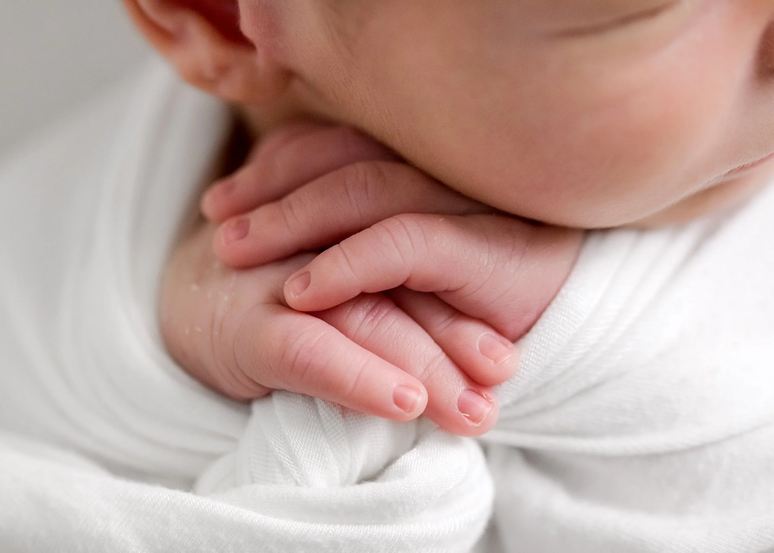  © 2021 Liz Cook Photography 