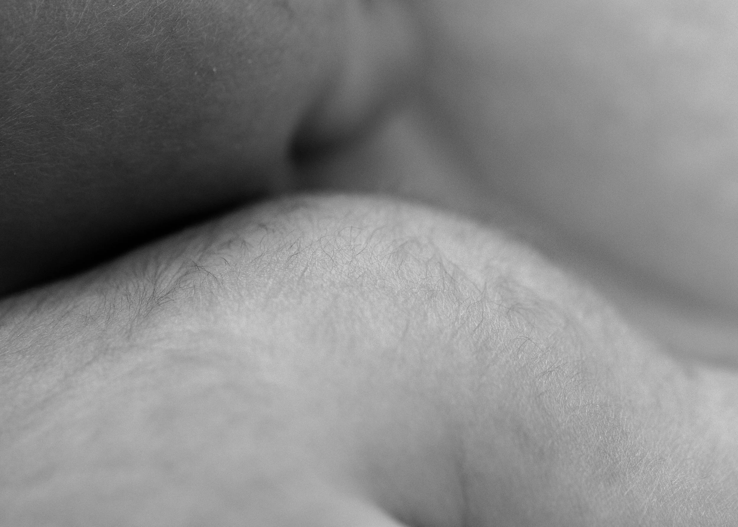  © 2023 Liz Cook Photography | www.liz-cook.com 