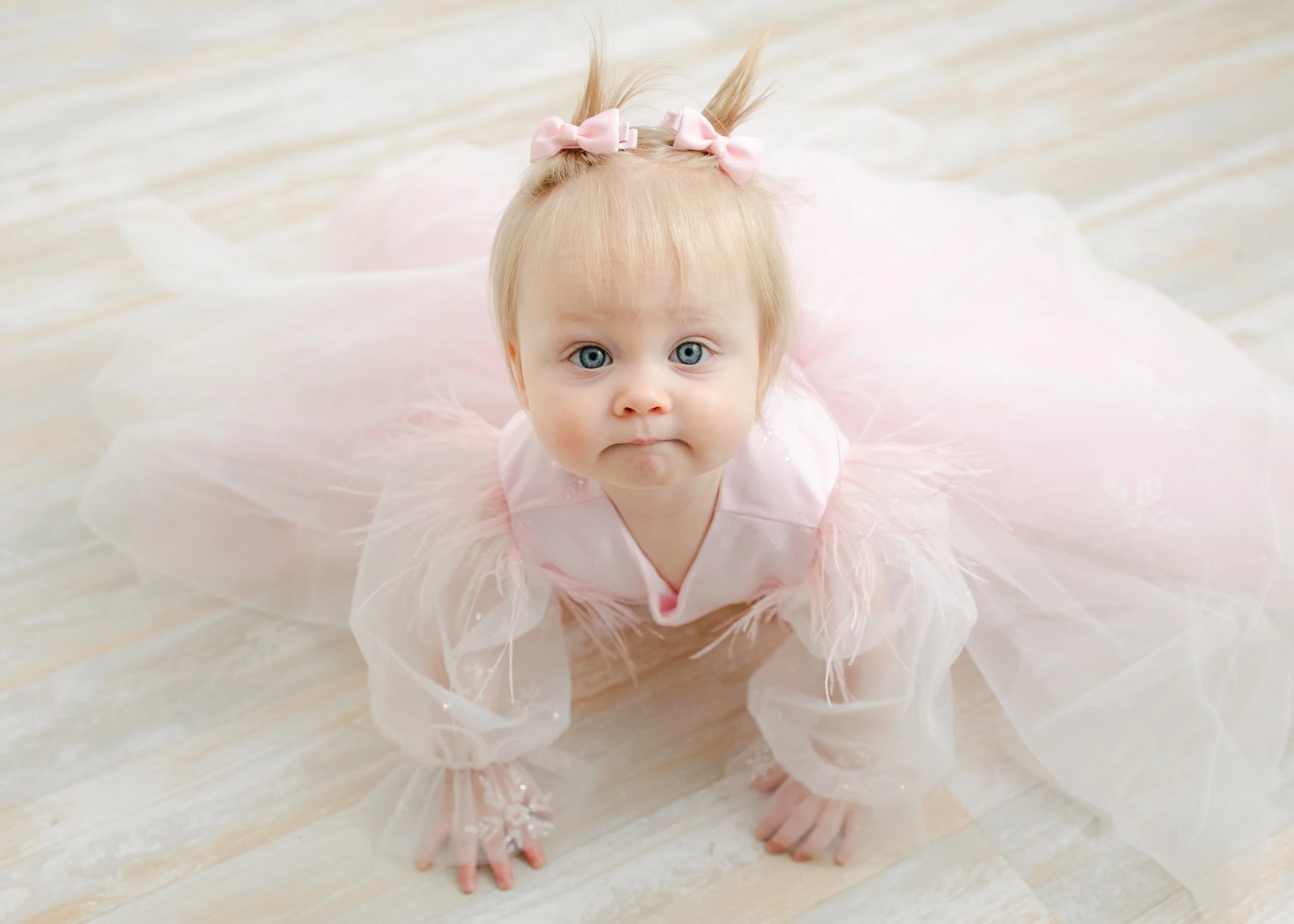  © 2023 Liz Cook Photography | www.liz-cook.com 