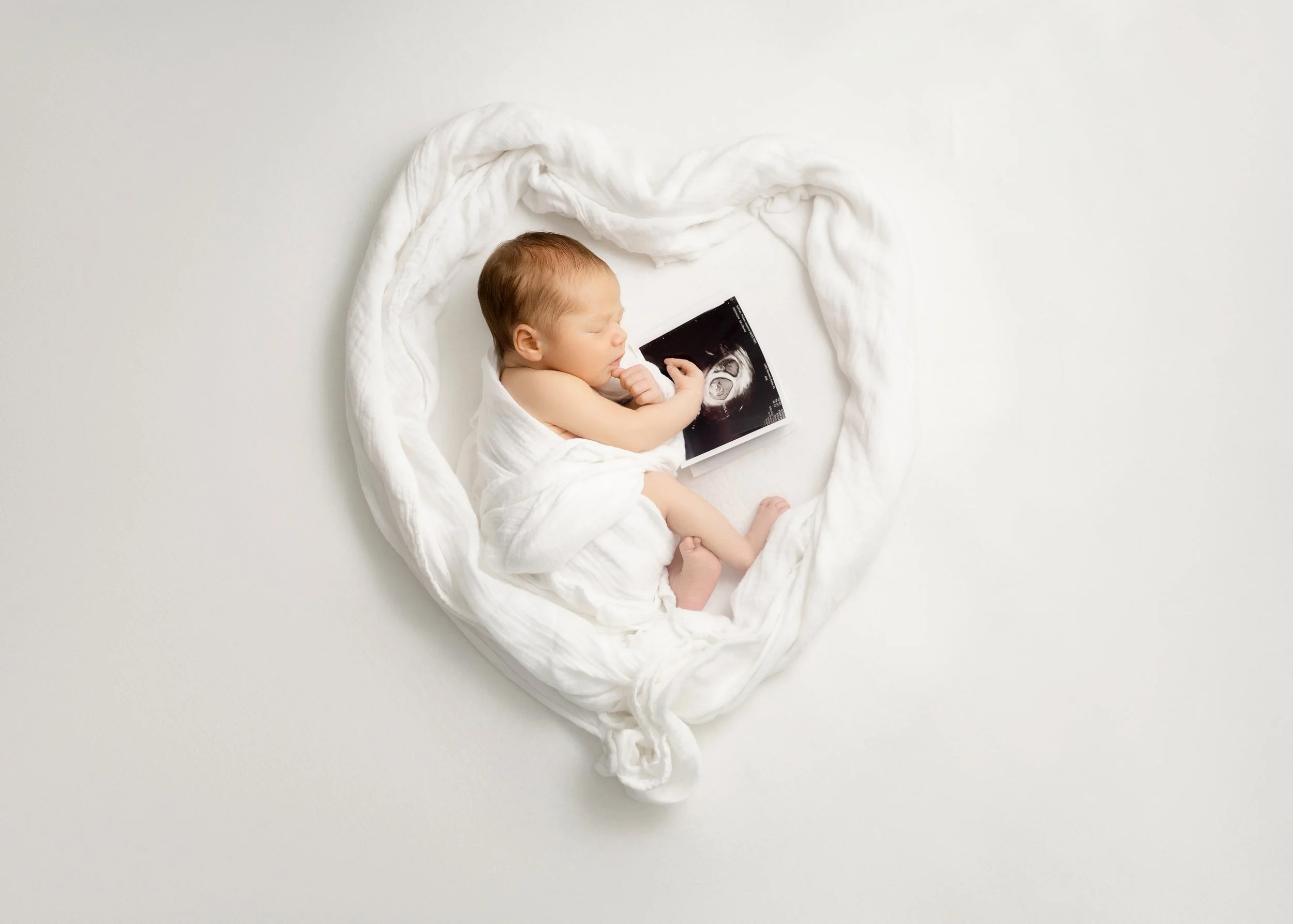  © 2025 Liz Cook Photography | www.liz-cook.com 