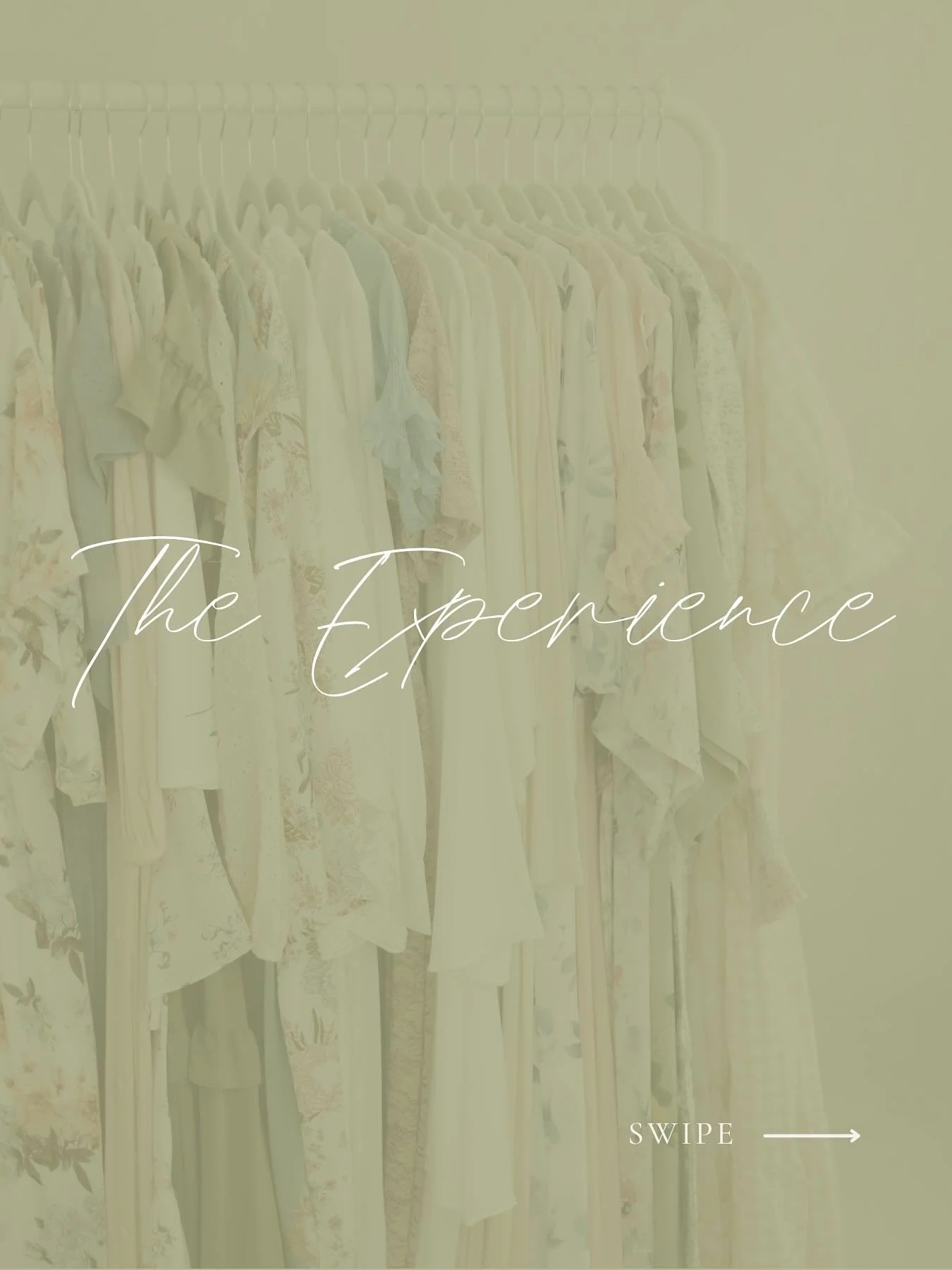 What can you expect when you work with Liz Cook Photography? 

When you book with me, I want you to feel cared for every step of the way. From our very first interaction to the moment you see your final gallery, my goal is to make this experience str