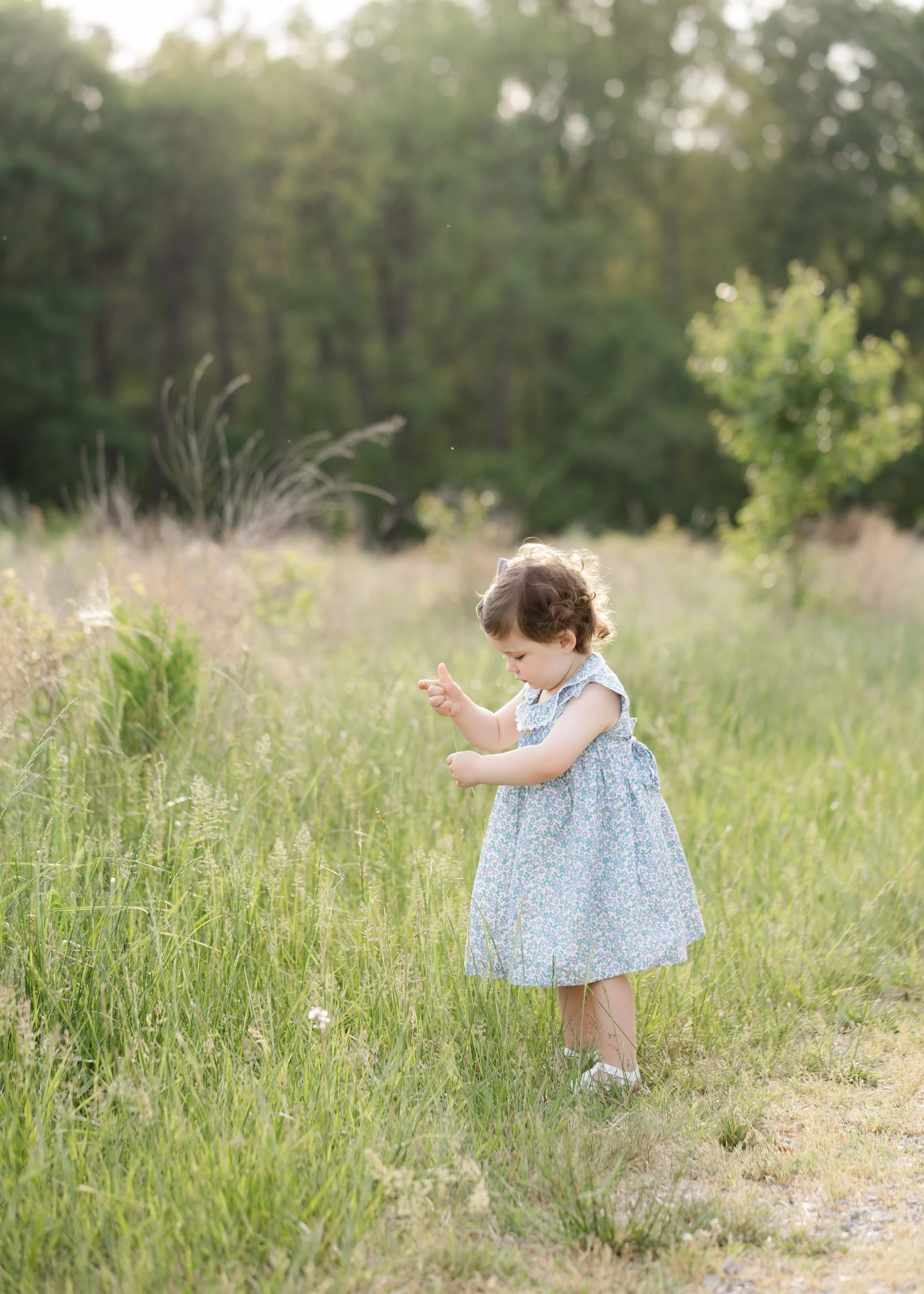  © 2025 Liz Cook Photography | www.liz-cook.com 