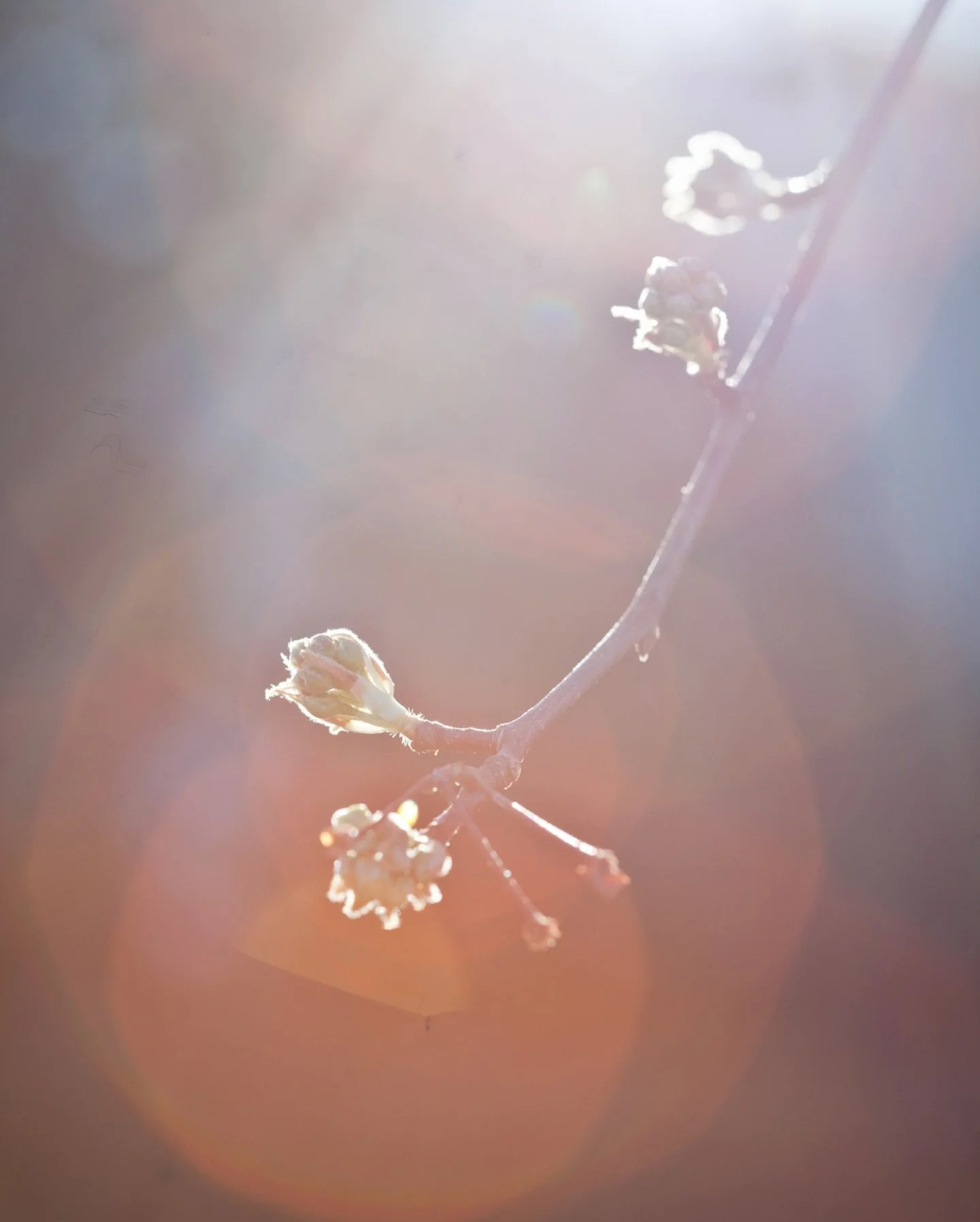 20 years ago. The earliest days of me with a camera. This was the very beginning&hellip; when the doors of my business were slowly opening.

Ooof. I&rsquo;m not going to lie&hellip; these photos are a little tough to look through. But also&hellip; I 