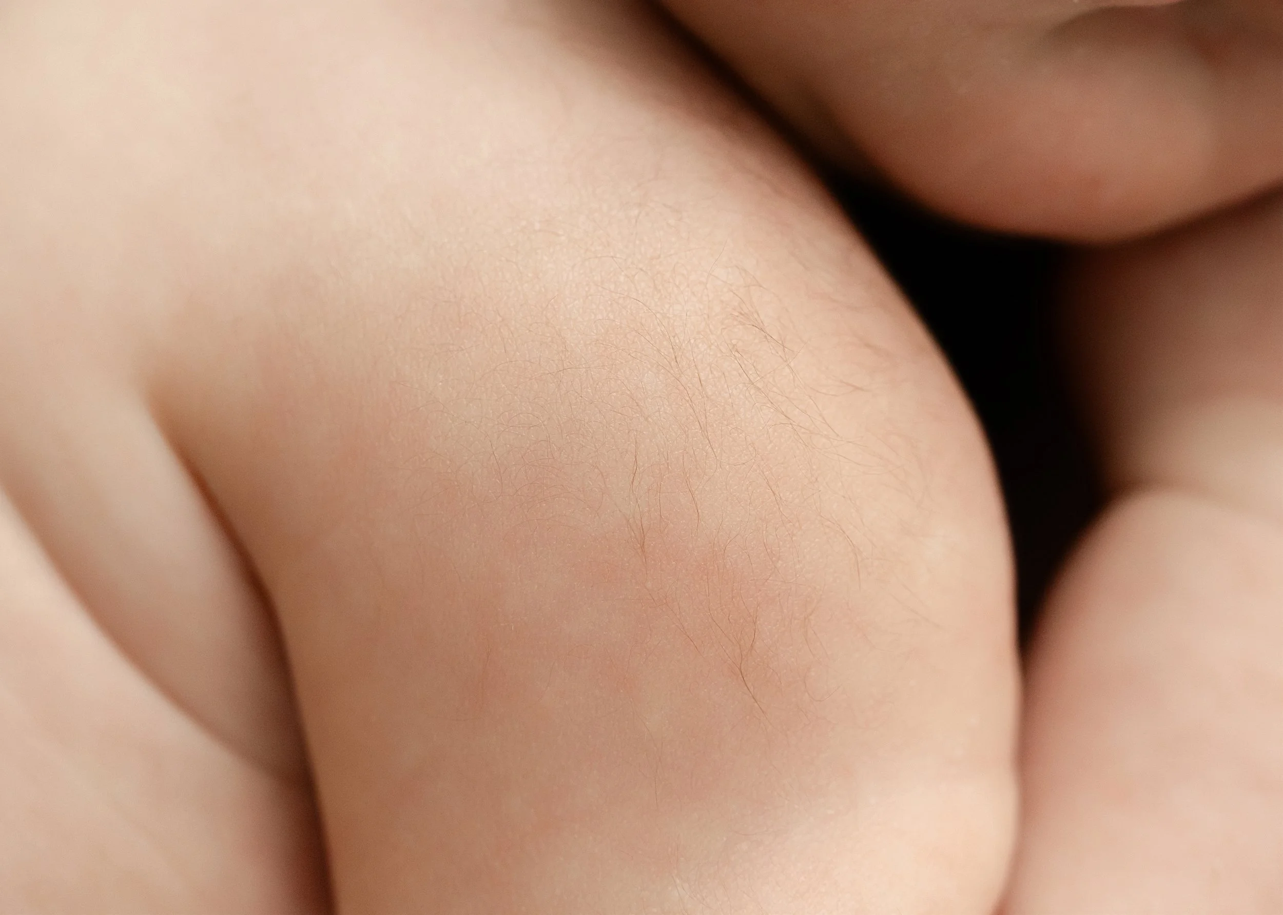  © 2026 Liz Cook Photography | www.liz-cook.com 