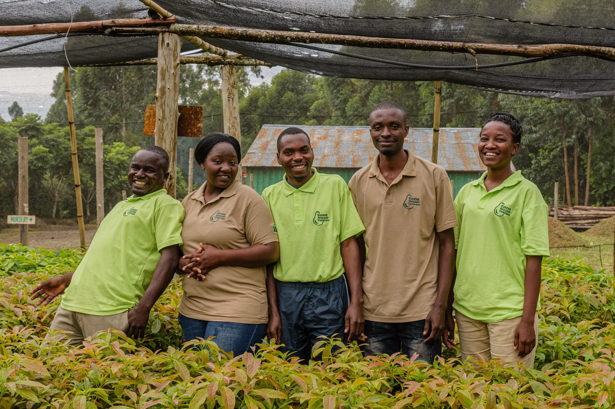Group portrait of smiling farm workers from the Rungwe Avocado Company. They are inside an avocado nursery. They are smiling. Image captured while on assignment for AgDevCo in Tukuyu, Mbeya, Tanzania.