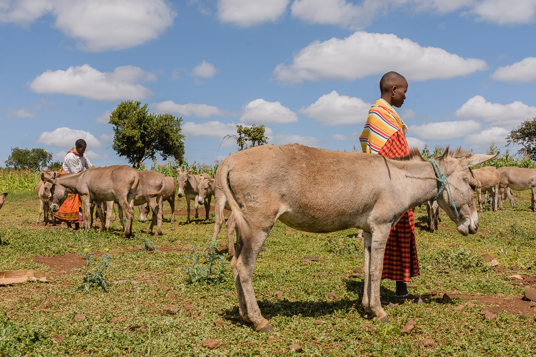 Portrait and Documentary Photographer based in Arusha,TanzaniaDSC_3911.jpg