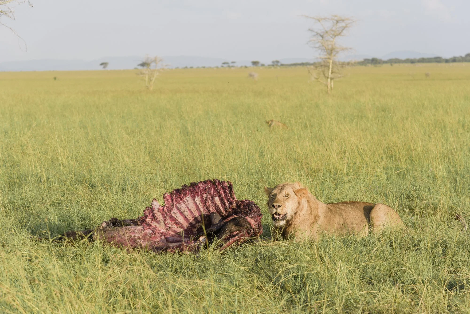 Wildlife38.JPG