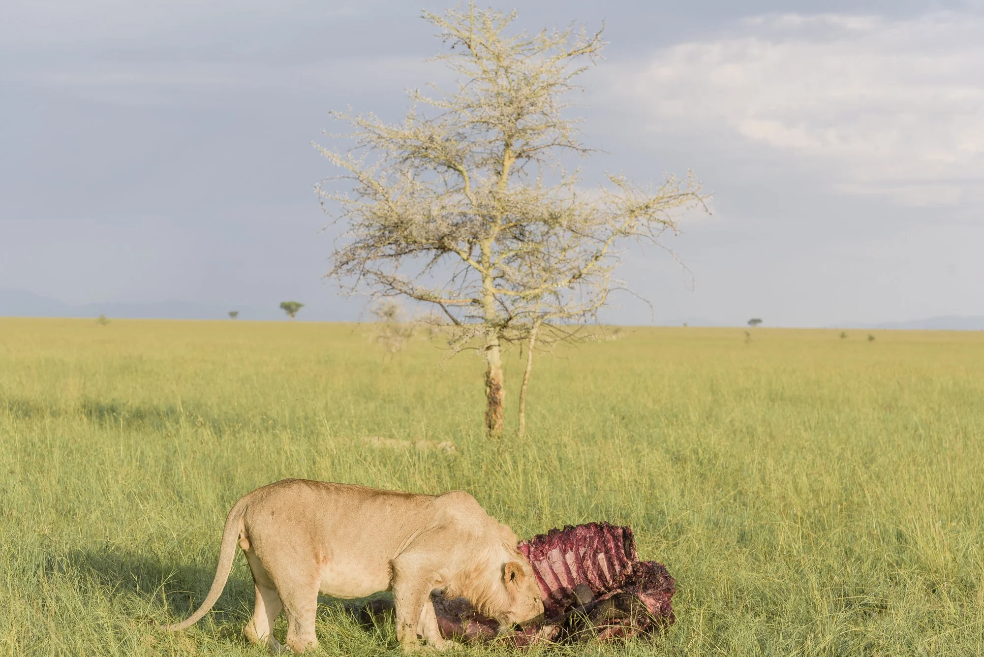 Wildlife39.JPG