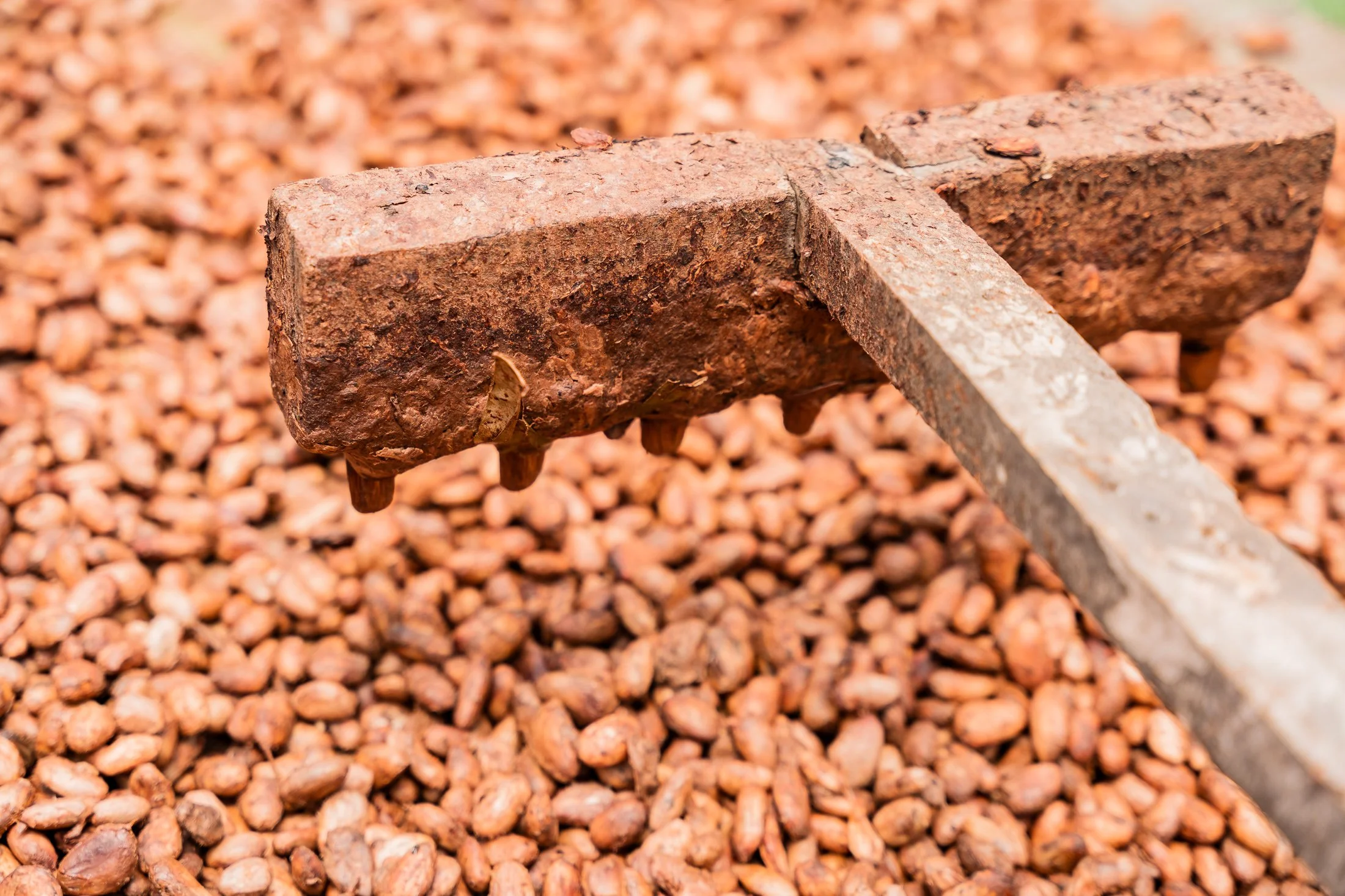  Michael is a Tanzanian photographer based in Dar es Salaam. He has 10 years of experience specialising in documentary, portrait, and editorial photography, as well as video production. His passion lies in capturing the human element and narrating co