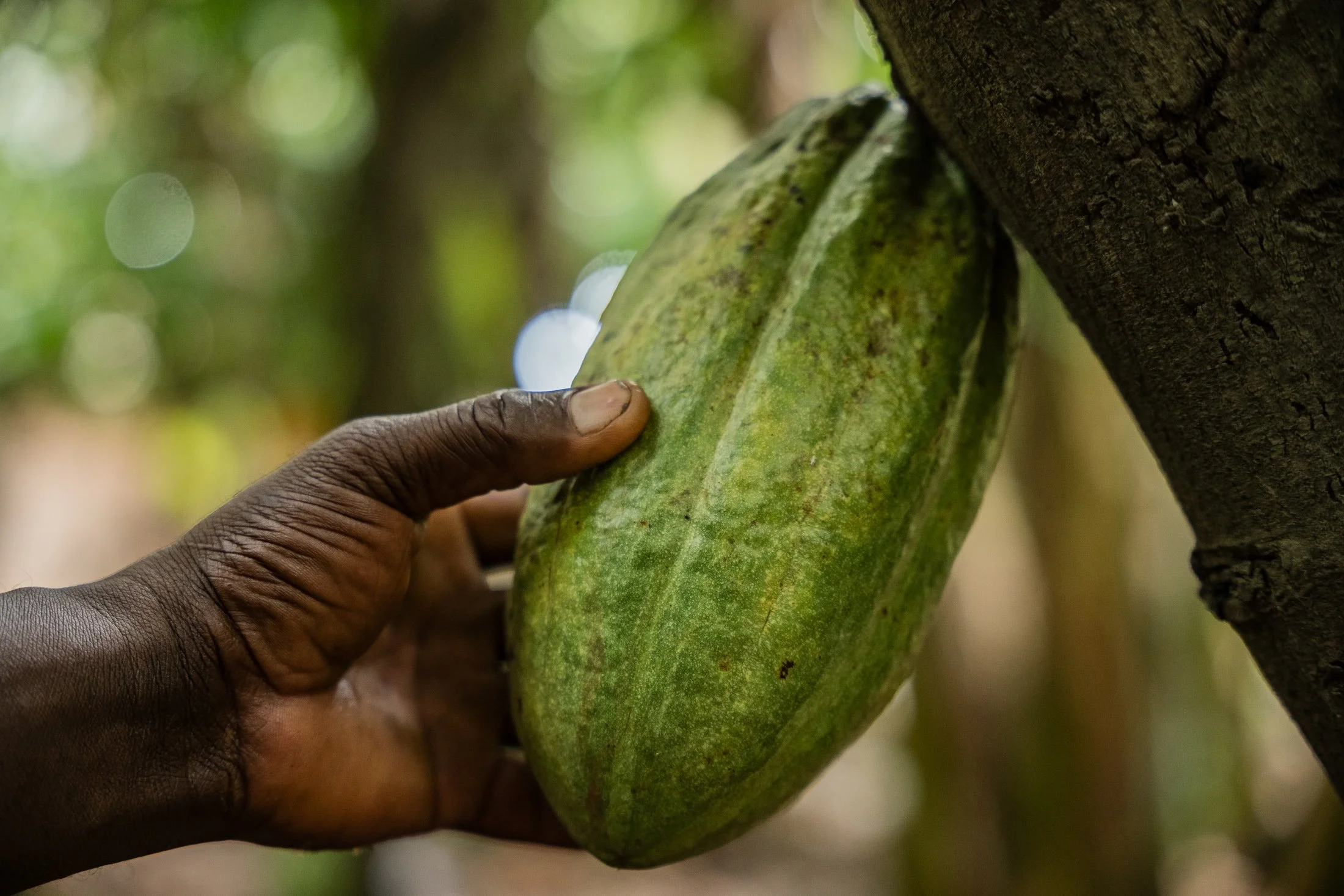 Transform Trade14.JPG