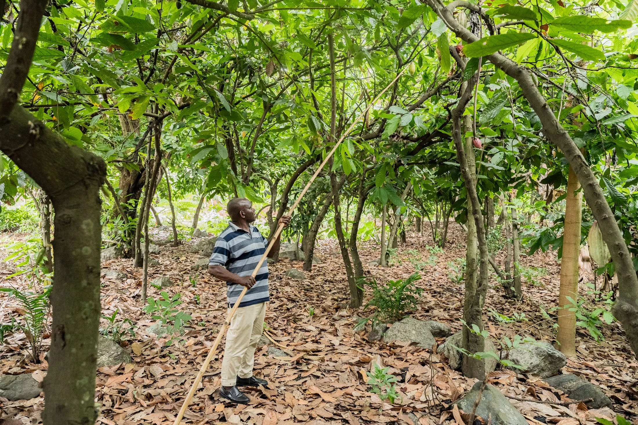 Transform Trade16.JPG