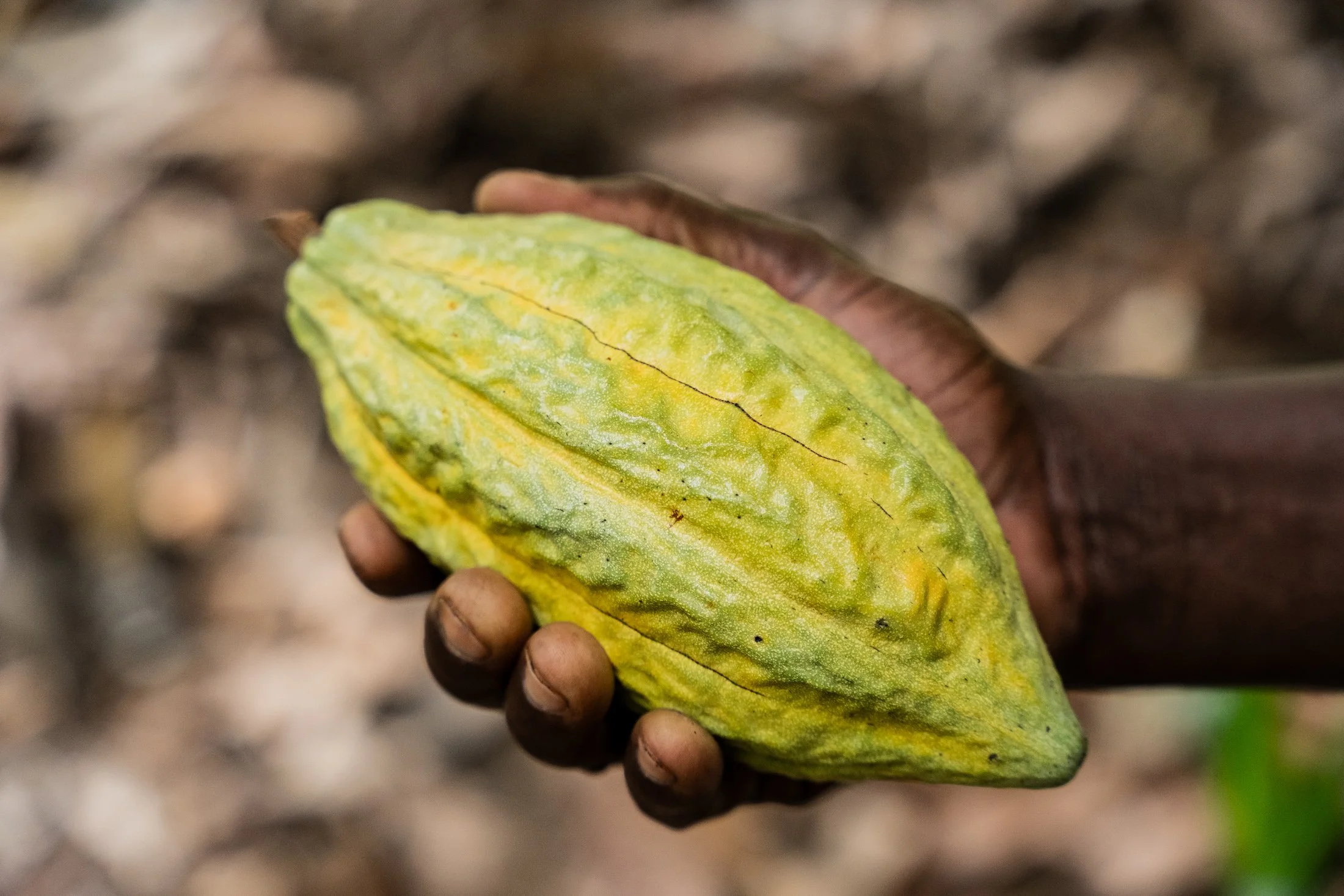 Transform Trade18.JPG