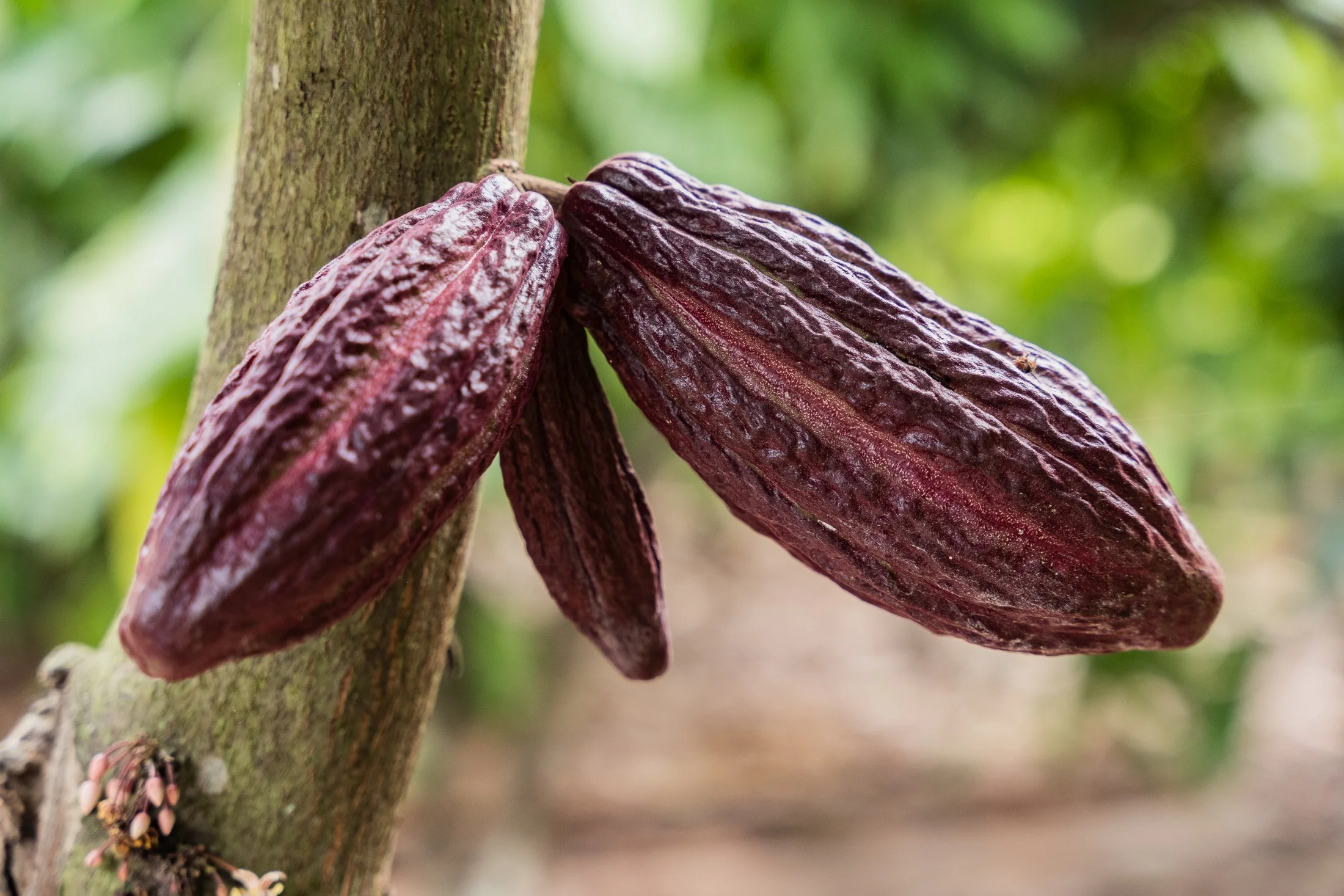 Transform Trade21.JPG