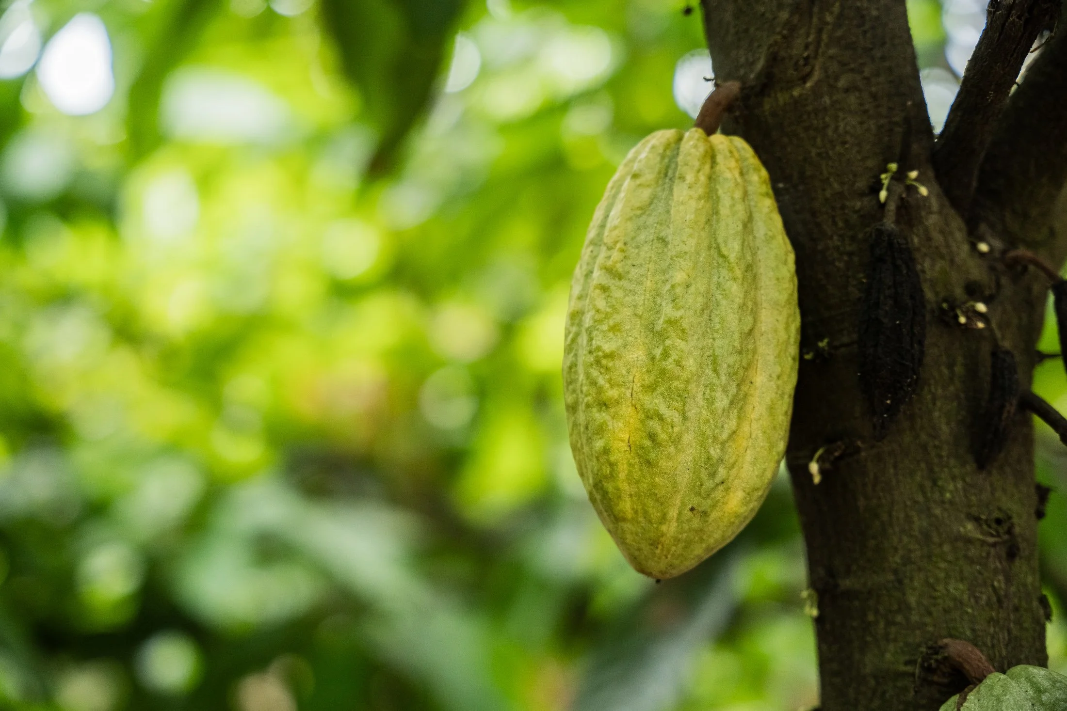 Transform Trade24.JPG