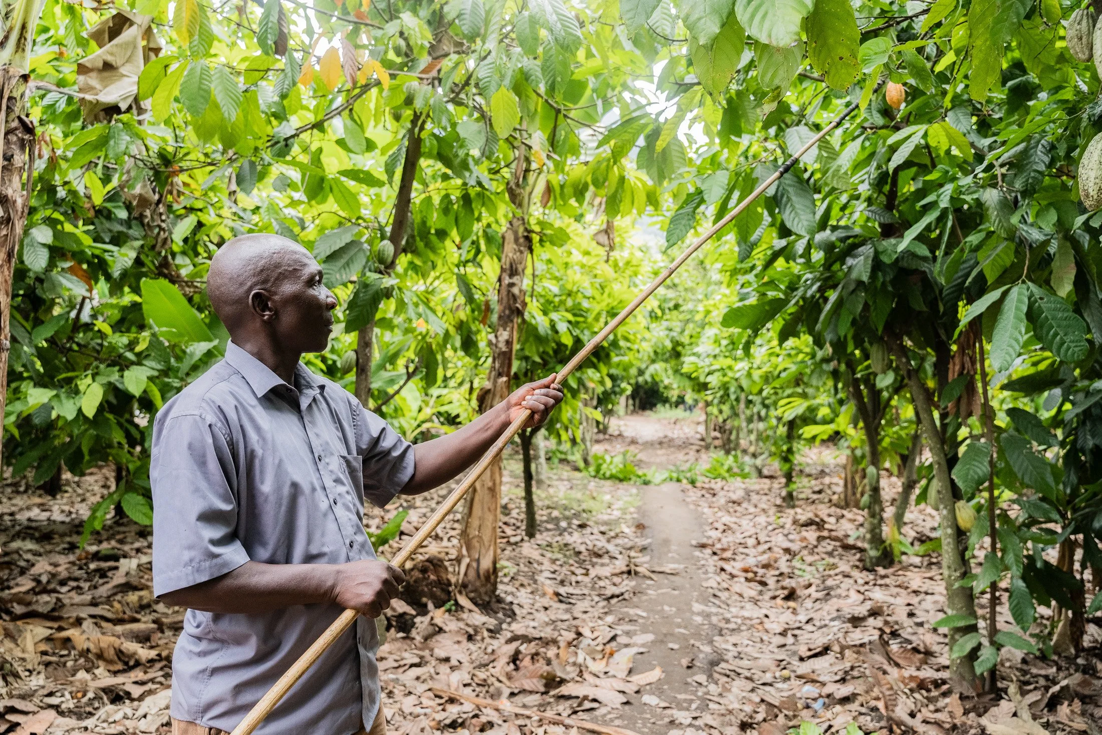 Transform Trade25.JPG