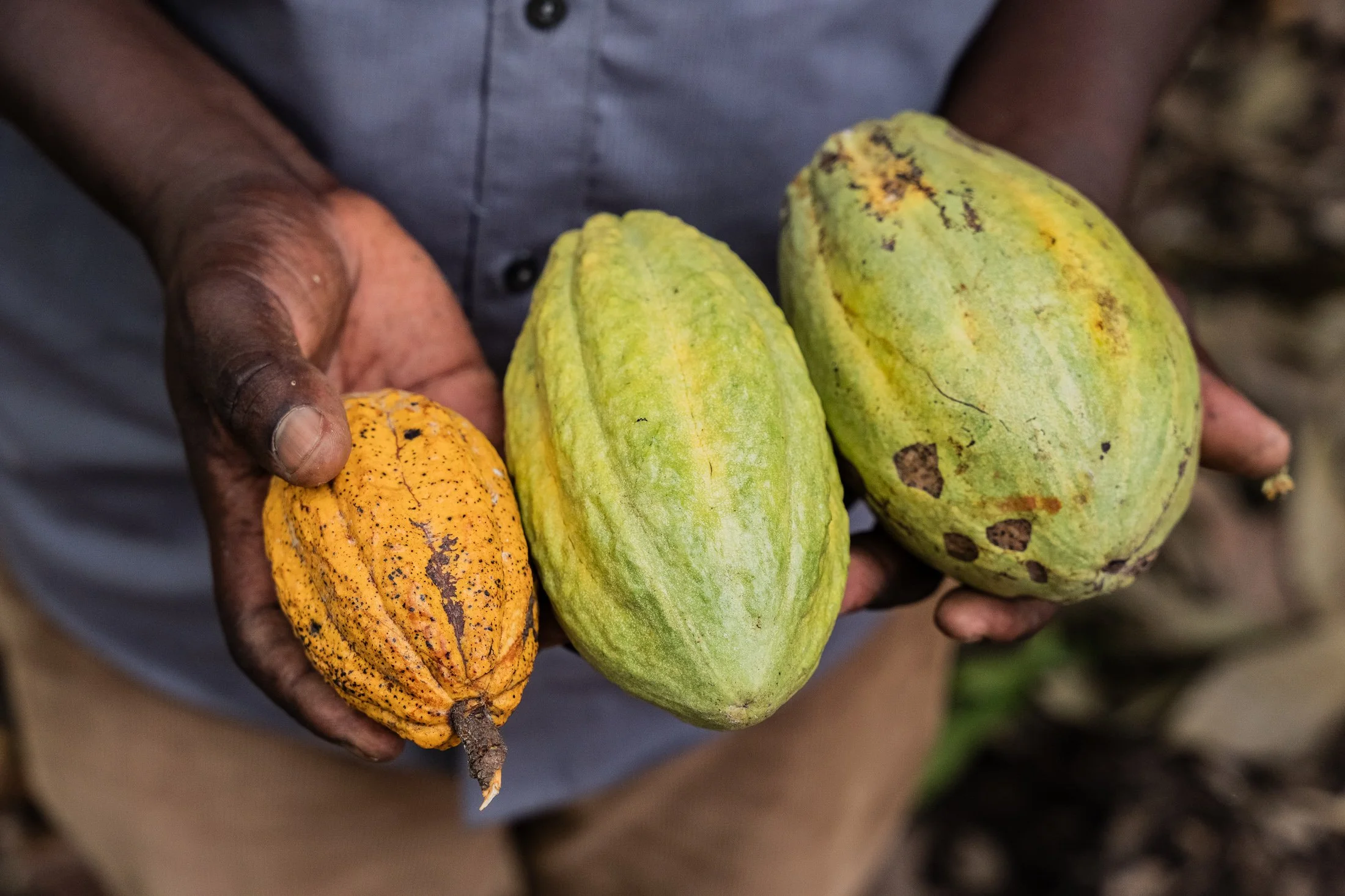 Transform Trade28.JPG