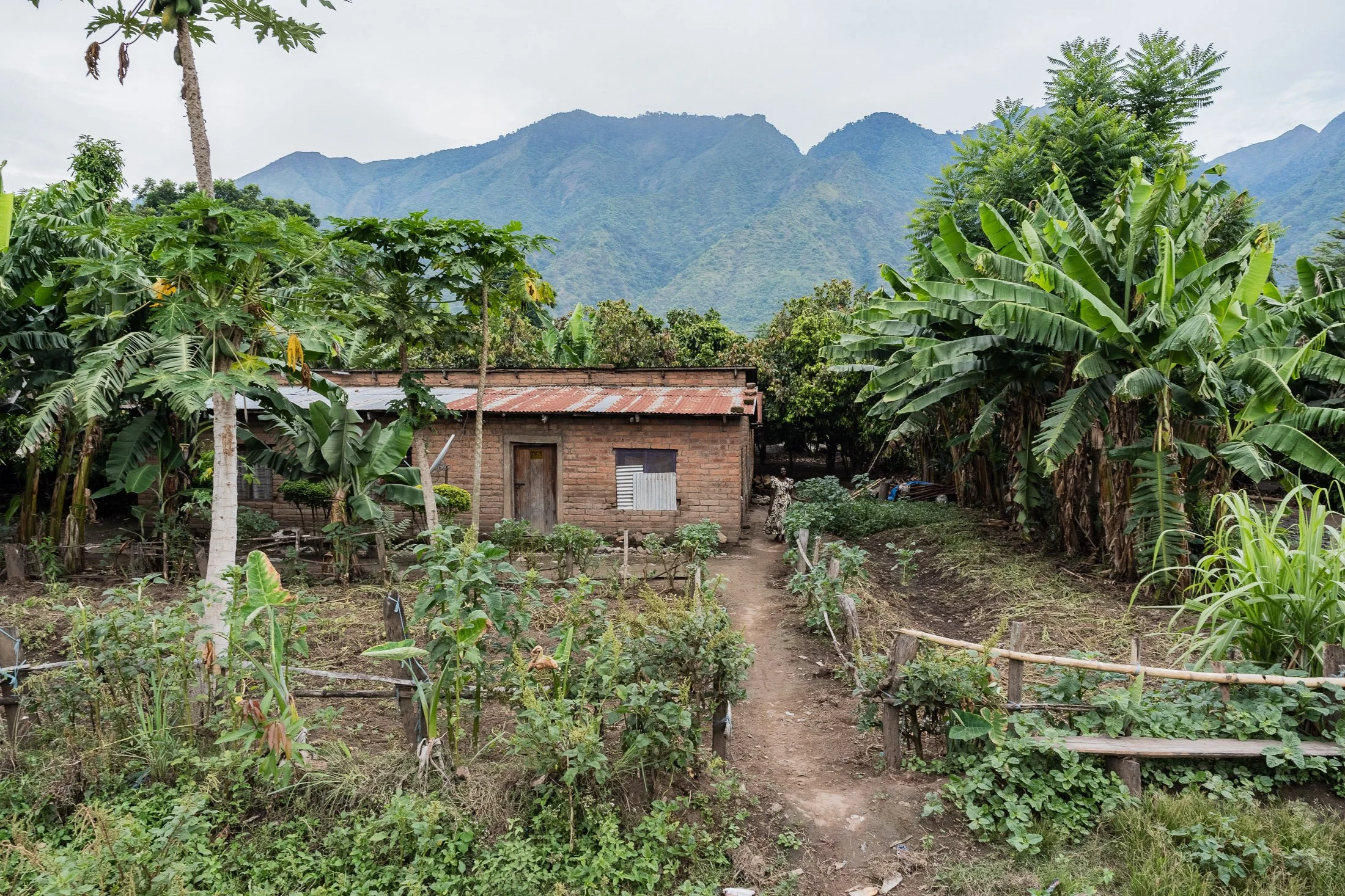 Transform Trade30.JPG