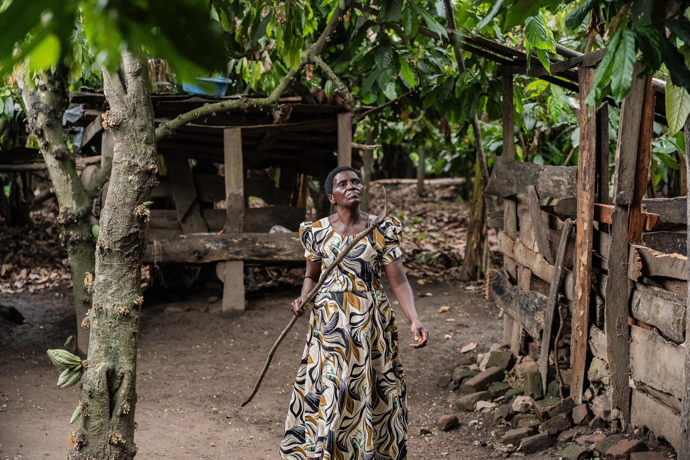 Transform Trade33.JPG