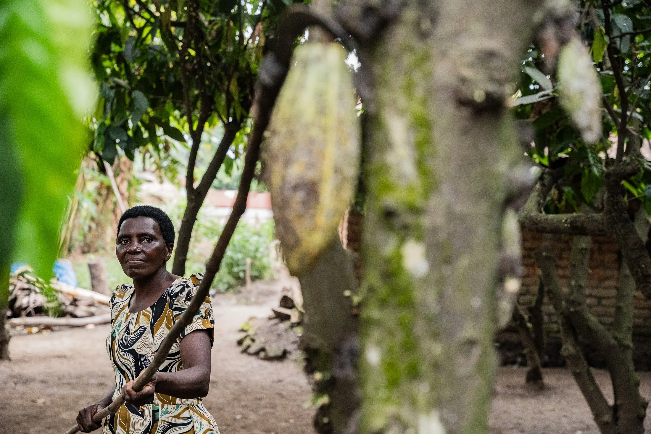 Transform Trade34.JPG