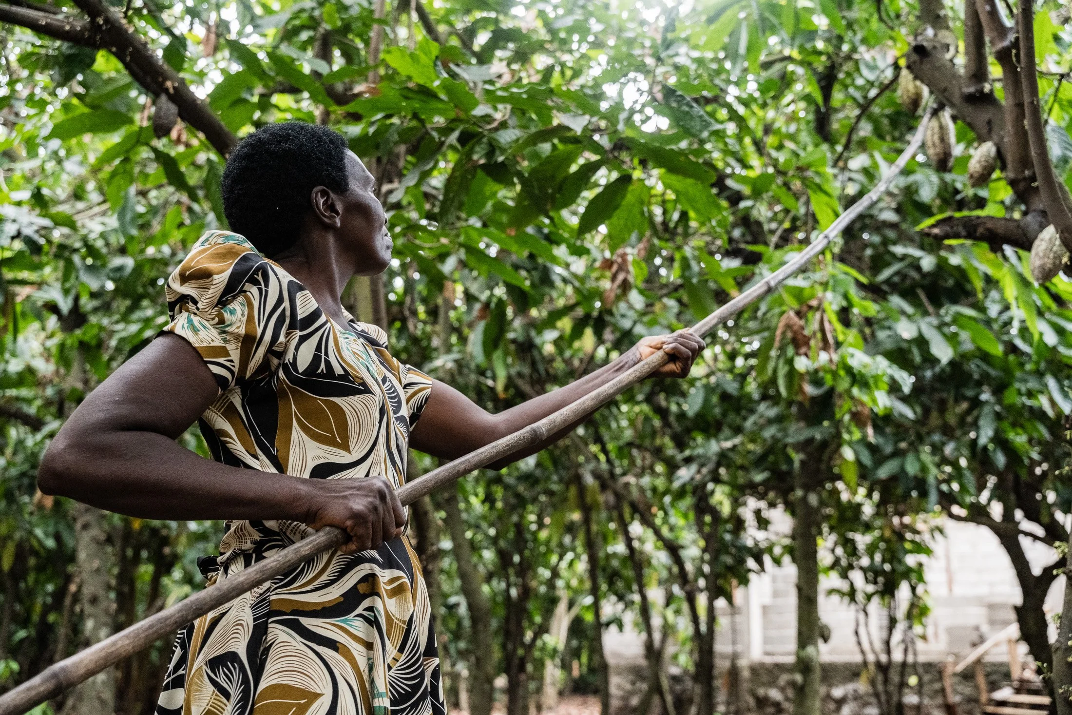 Transform Trade35.JPG