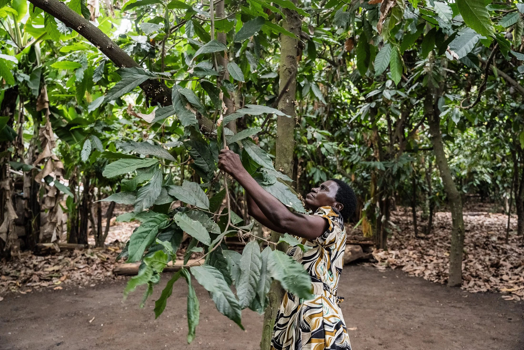 Transform Trade36.JPG