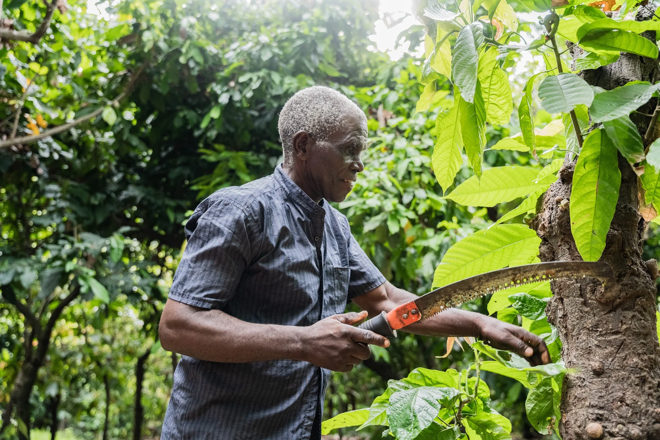 Transform Trade46.JPG