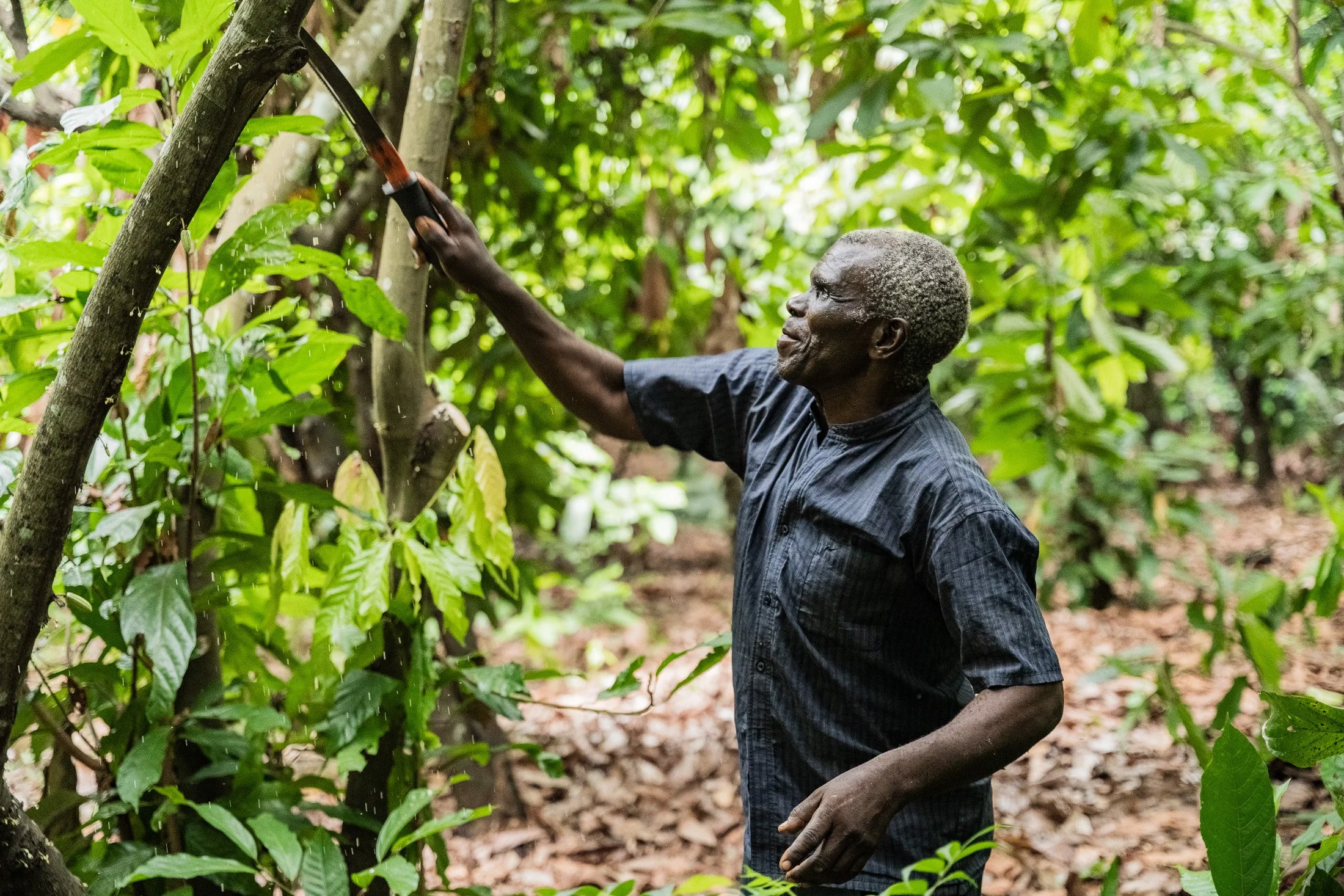 Transform Trade47.JPG