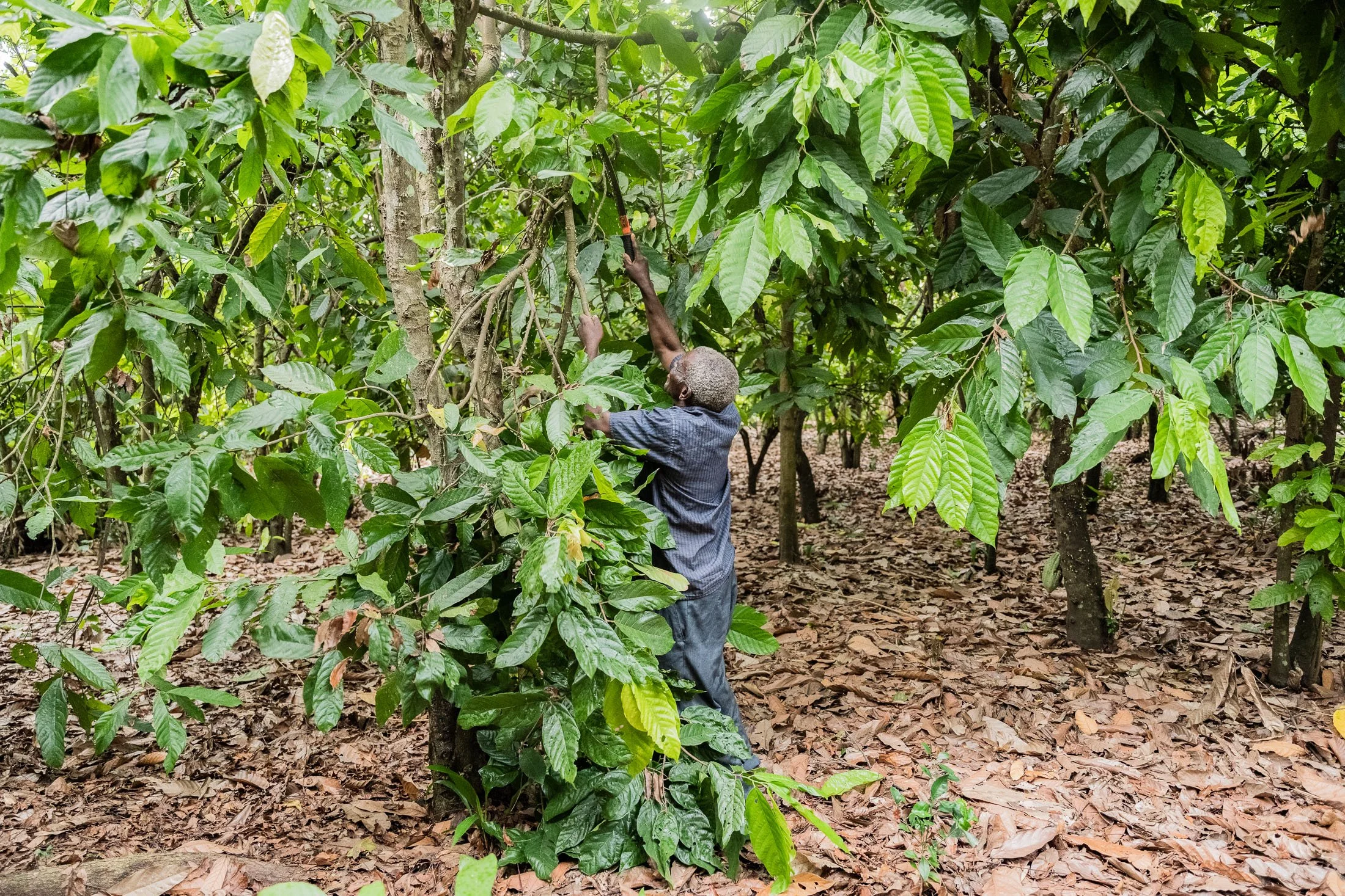 Transform Trade48.JPG