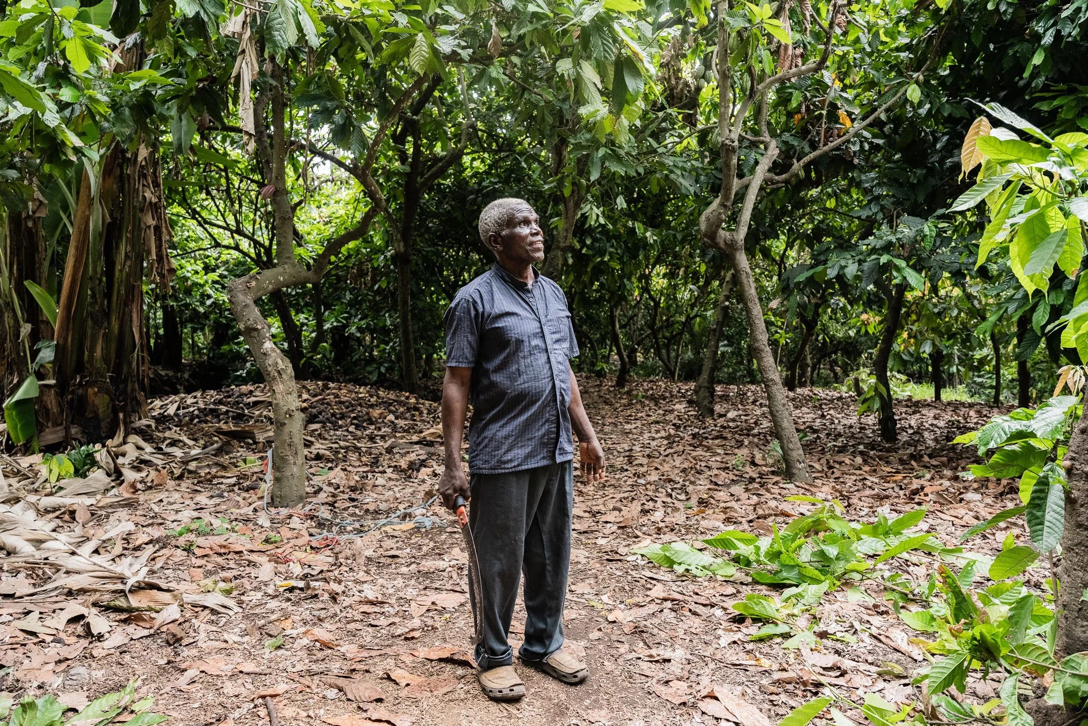 Transform Trade50.JPG