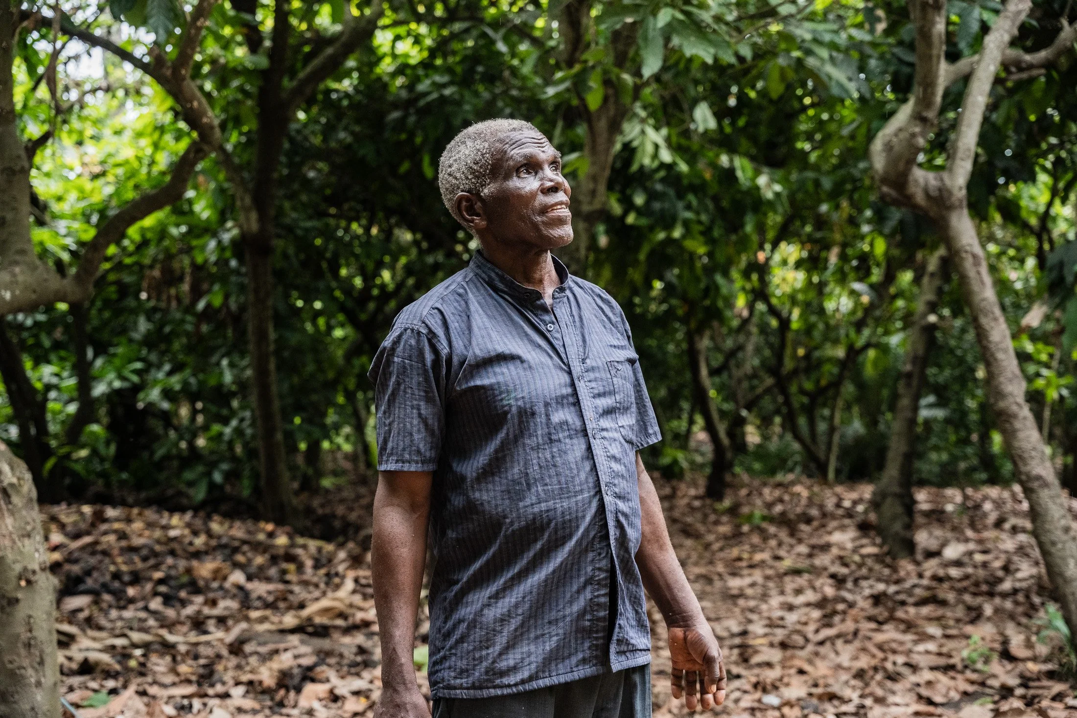 Transform Trade51.JPG