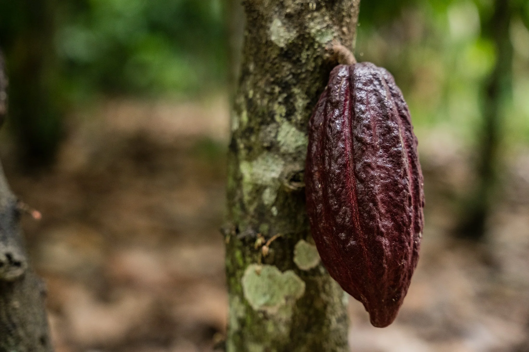 Transform Trade52.JPG