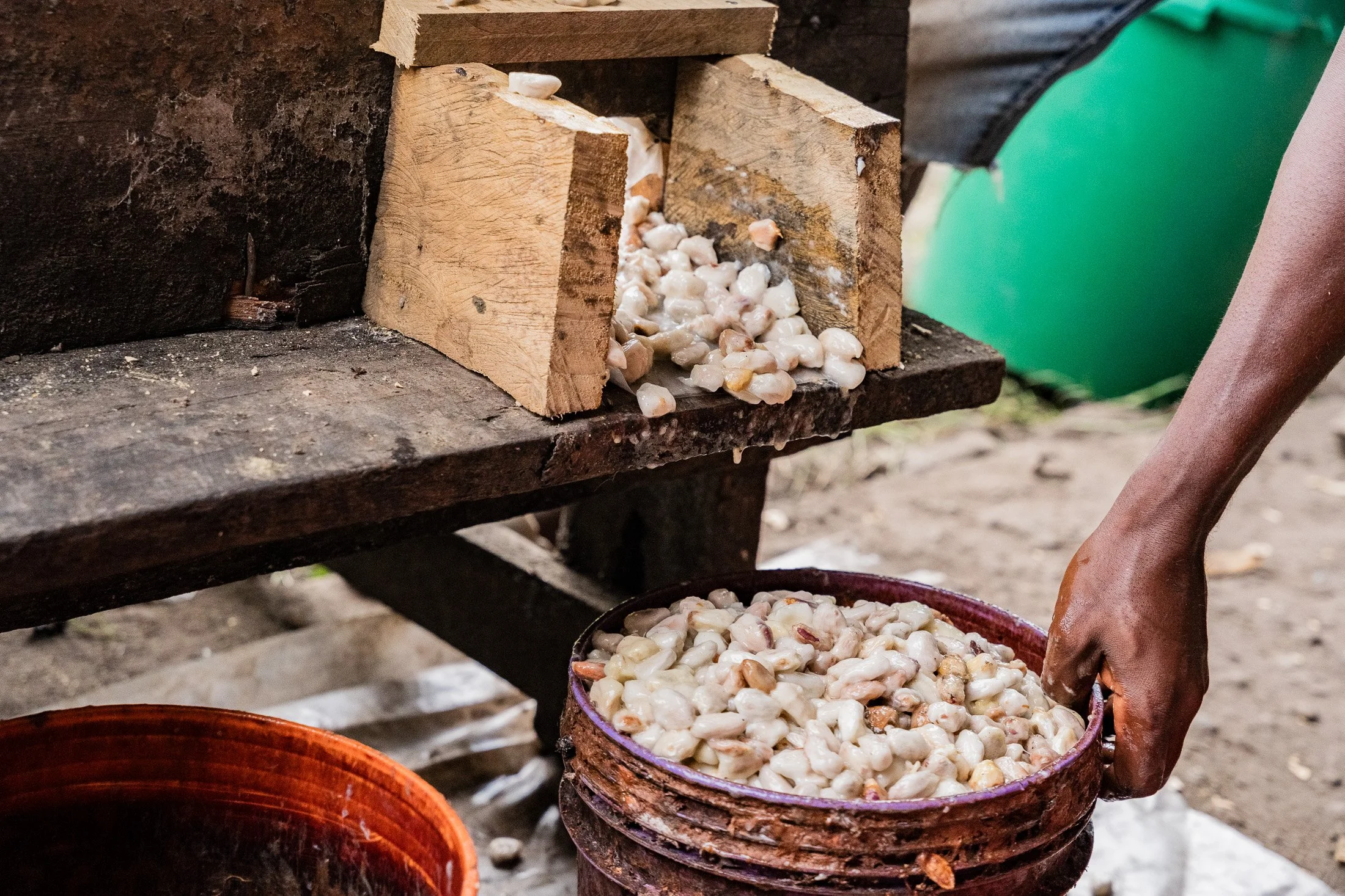 Transform Trade57.JPG