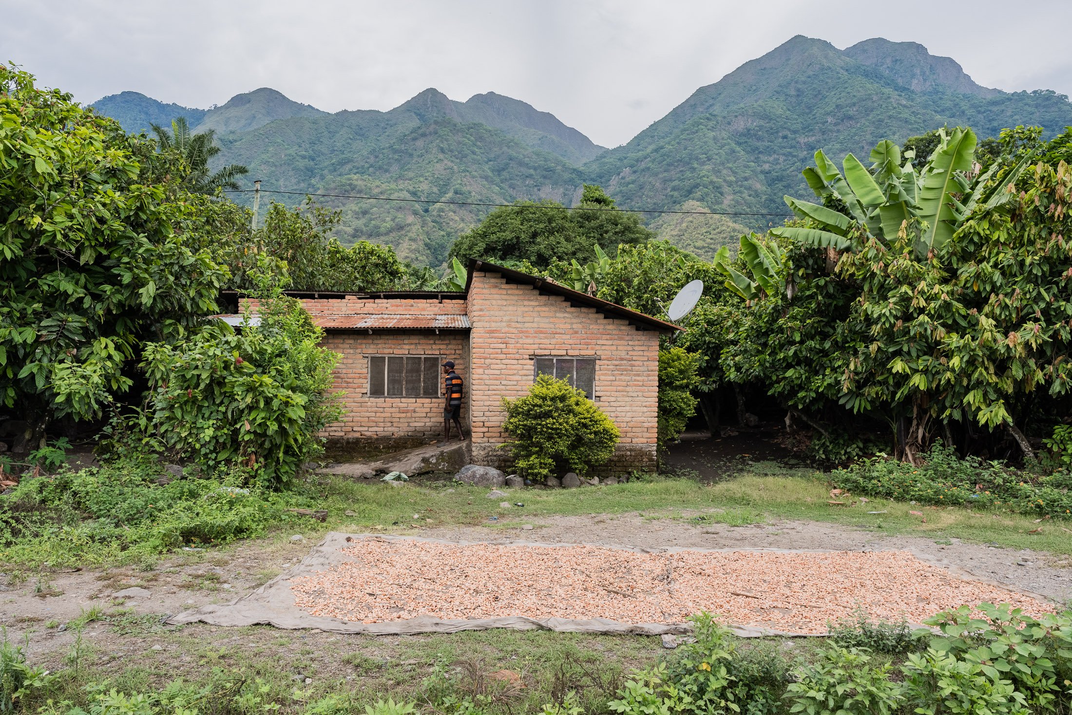 Transform Trade20.JPG