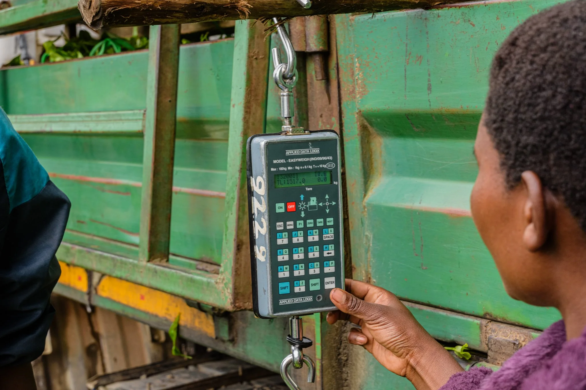 Woman using a digital scale in a tea plantation beside a truck used for loading the tea bag sucks in Tukuyu, Mbeya, Tanzania.