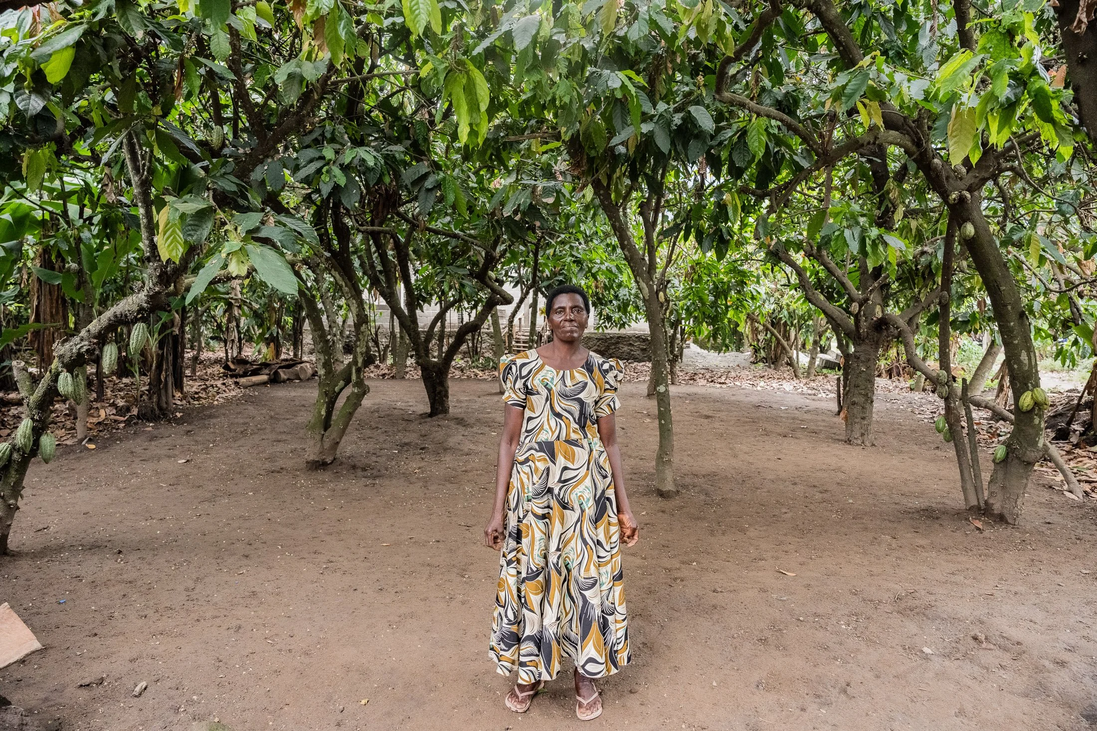 Woman farmer standing in front of her cocoa farm in Mababu Village, Mbeya Region, Tanzania