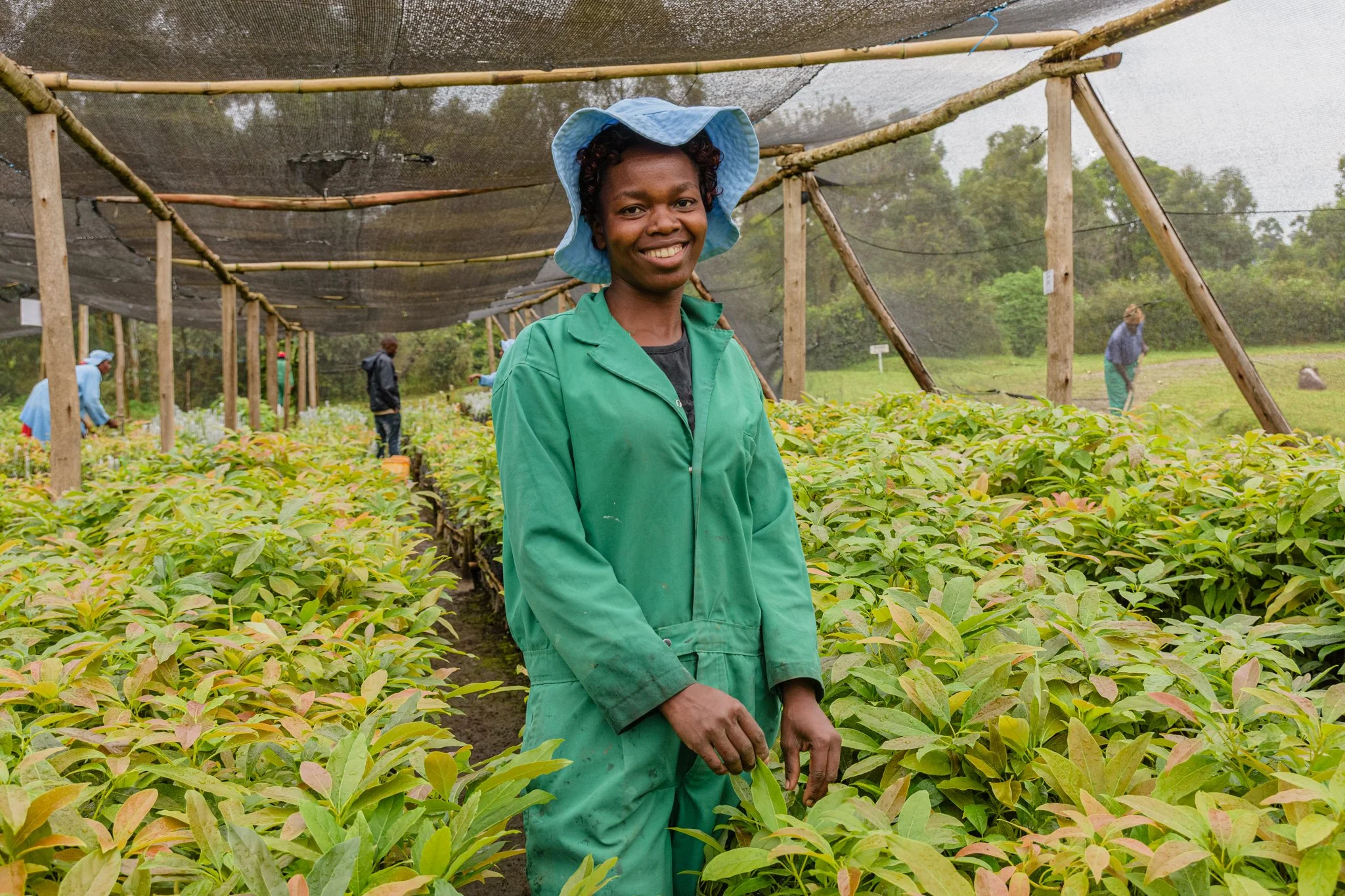 Smiling woman in green work overalls and blue hat standing in an avocado plant nursery in Tukuyu, Mbeya, Tanzania.