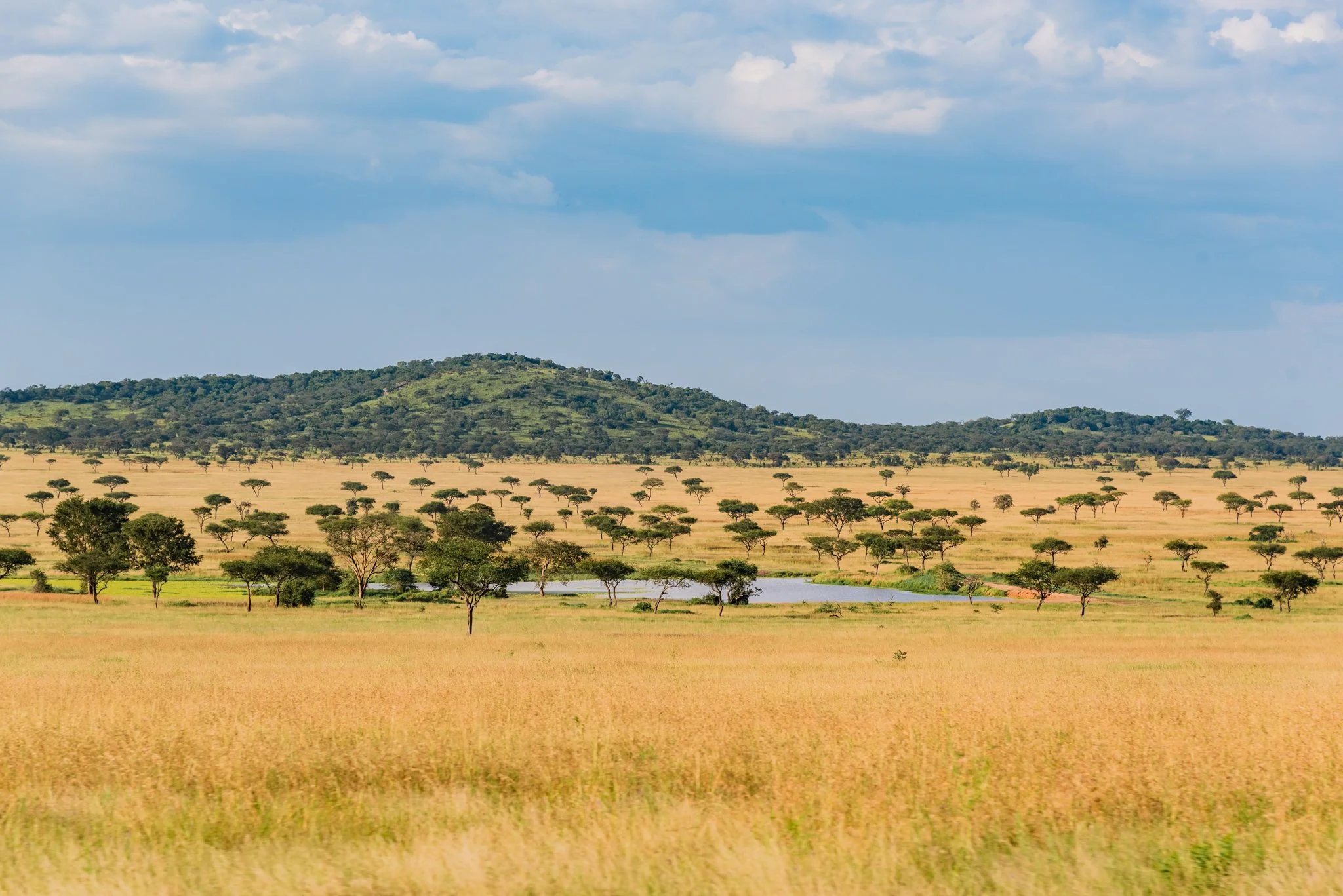 Singita Grumeti - Serengeti-022.JPG