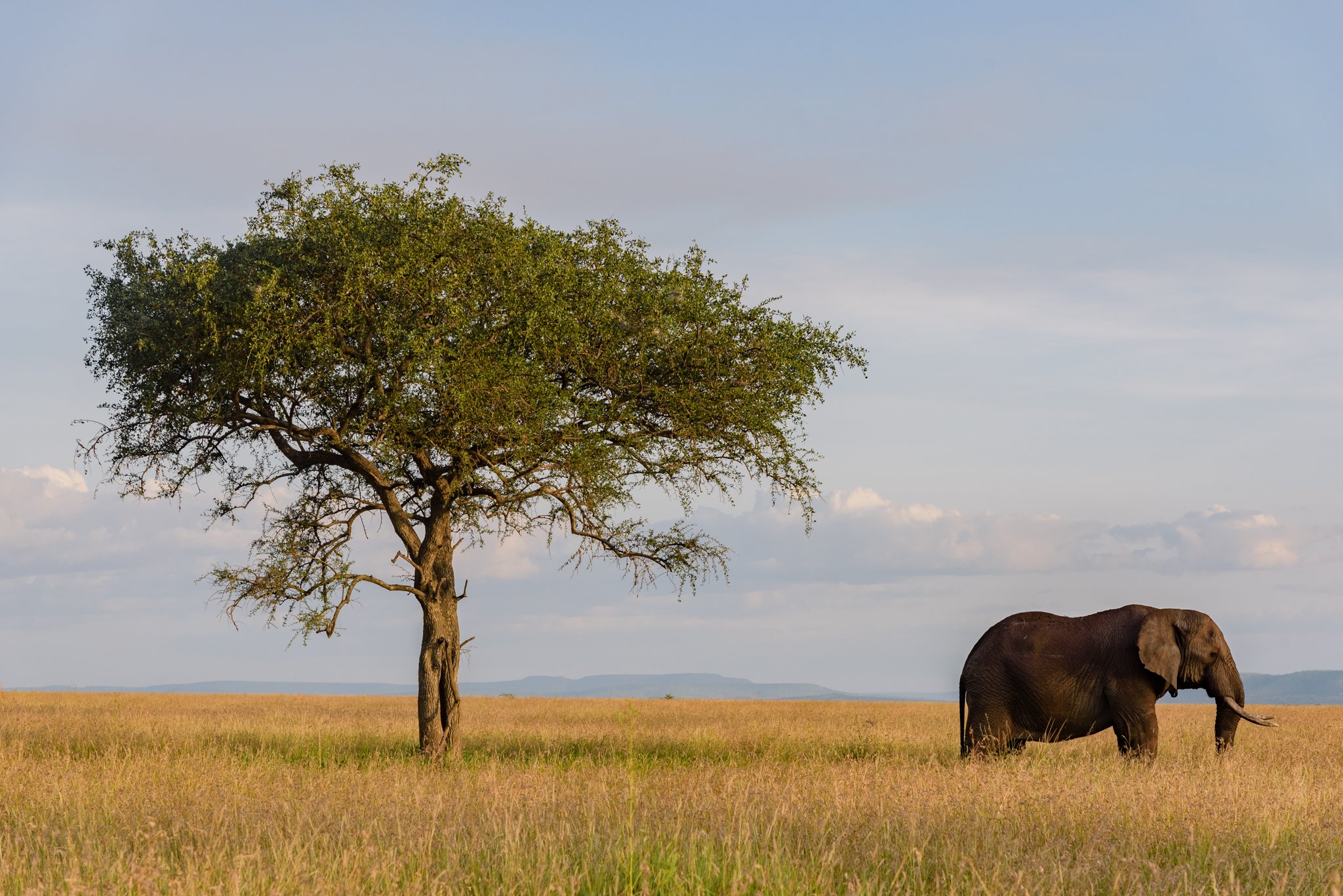 Singita Grumeti - Serengeti-02.JPG