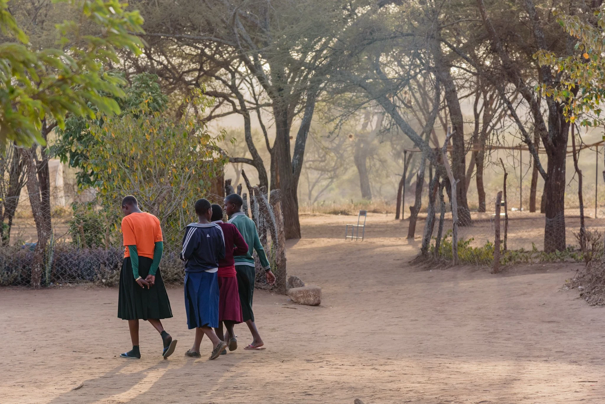 Four children walking on a dirt path surrounded by trees in a rural area during the daytime.