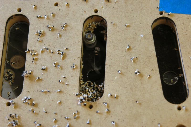  Now changing bit to a 3/8ths, simply because it will fit inside the ½ inch hole I have drilled, I cut the pickup holes. 