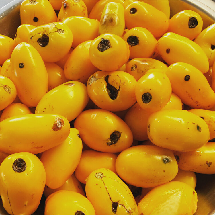 Ugly Yellow Tomatoes