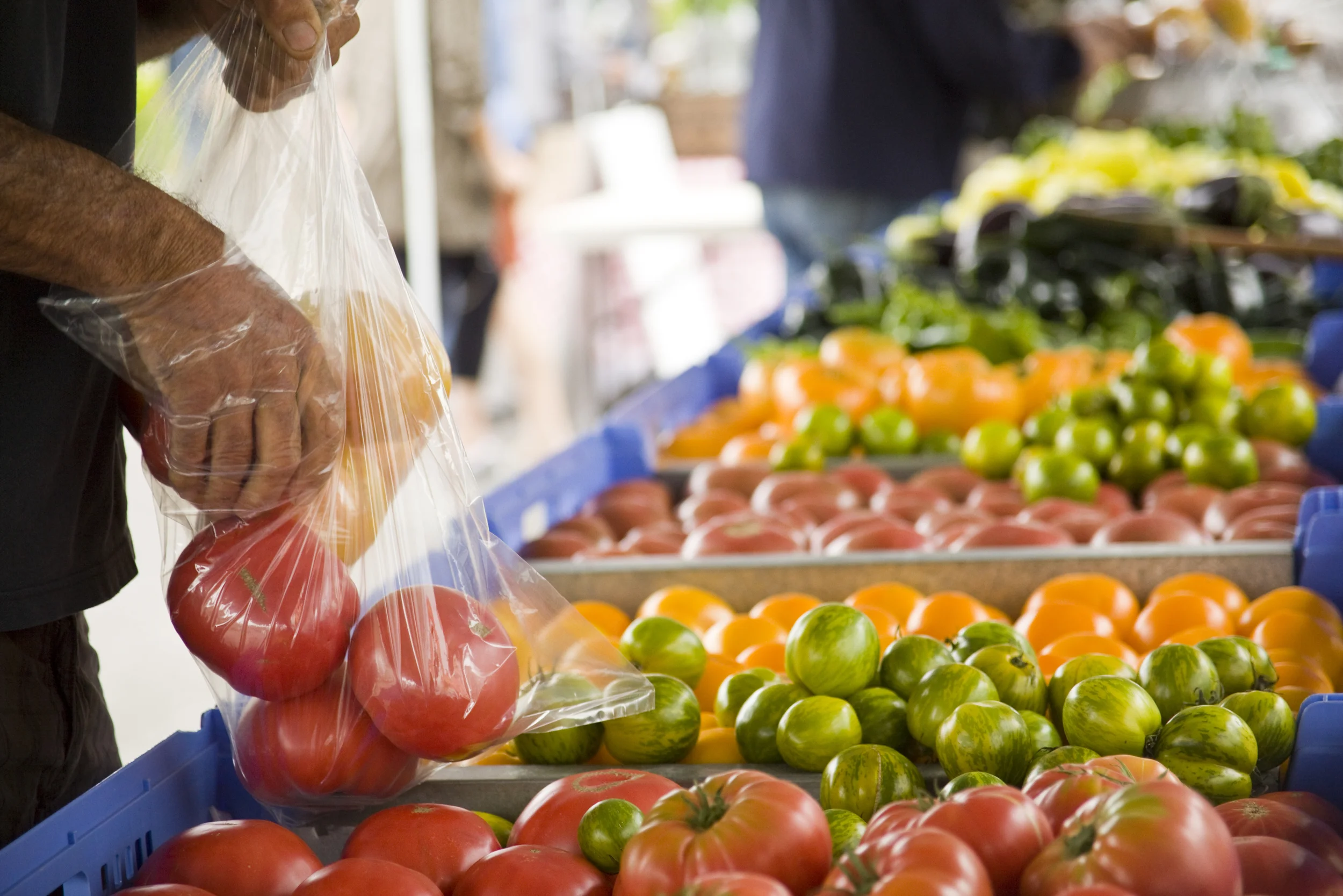 SOD_120825_HealdsFarmMark_141.jpg