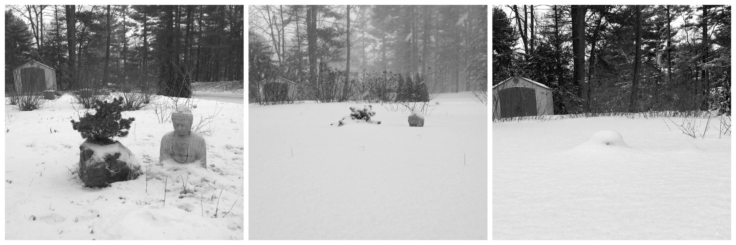 Can you find my garden Buddha after the blizzard?