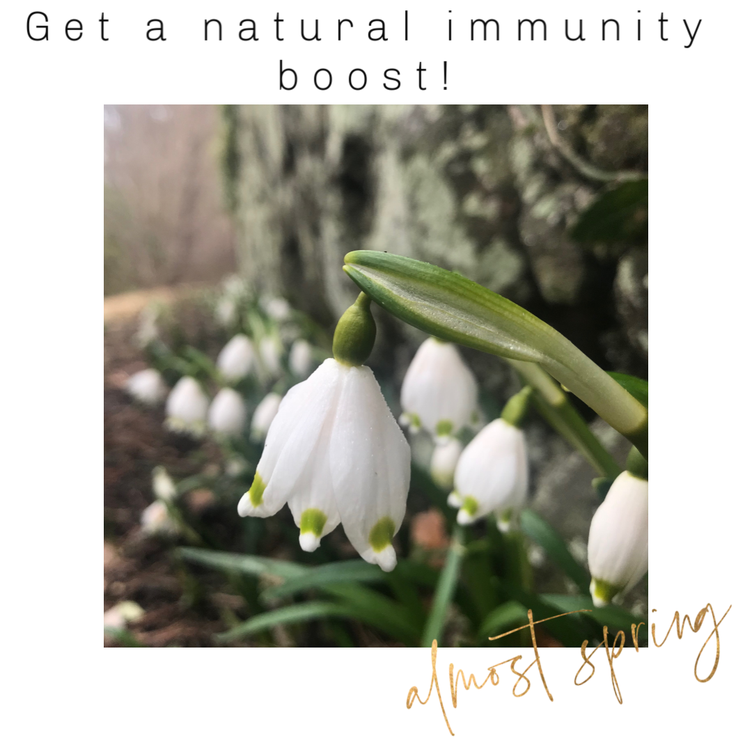 Natural Immunity Boost