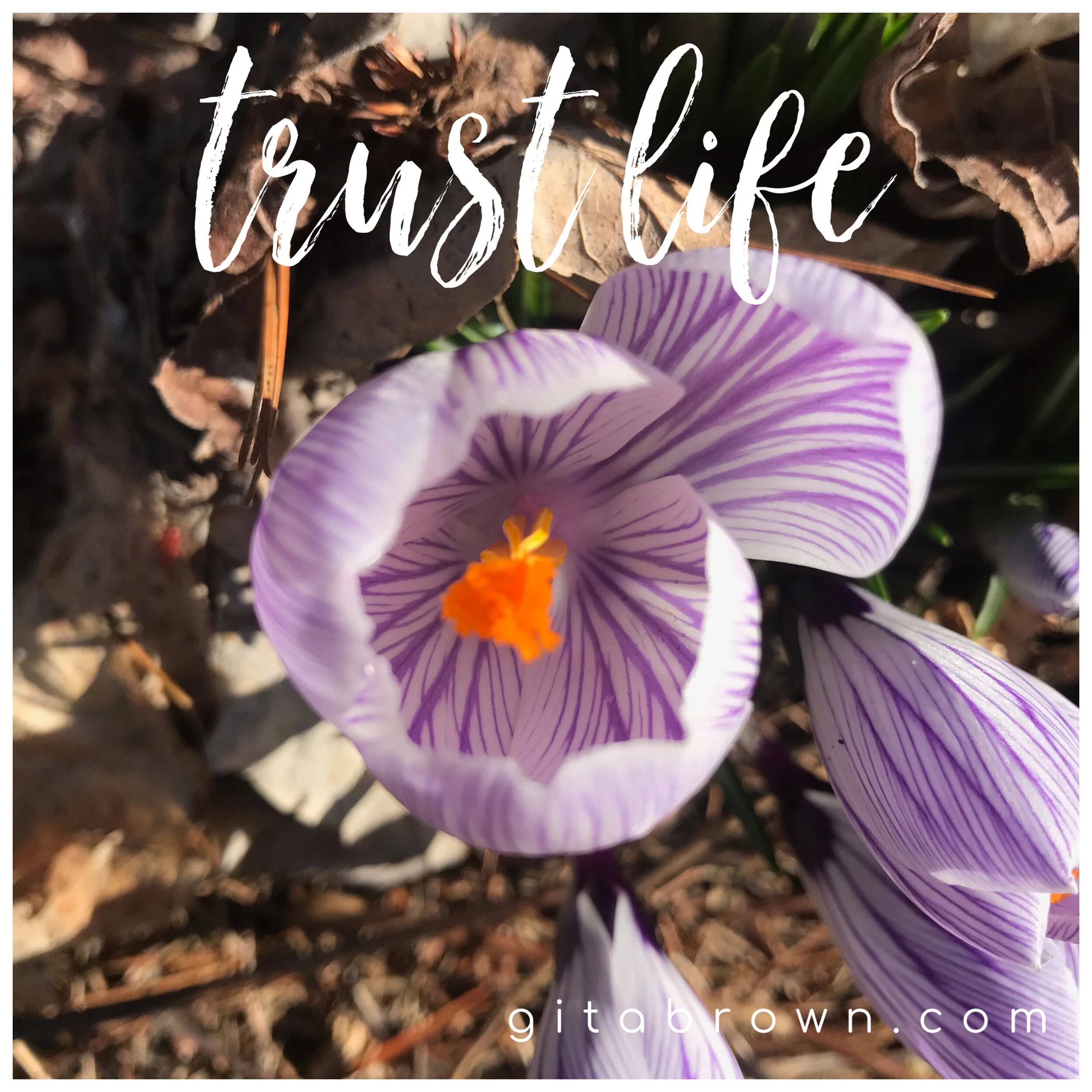 Acceptance is hard; this helps!